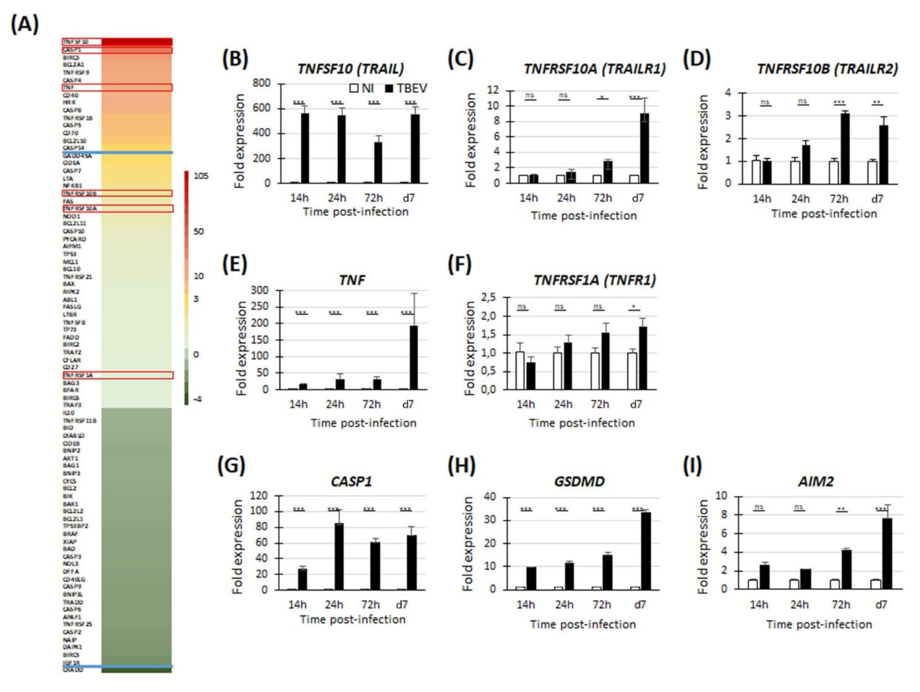 Viruses 13 02255 g002