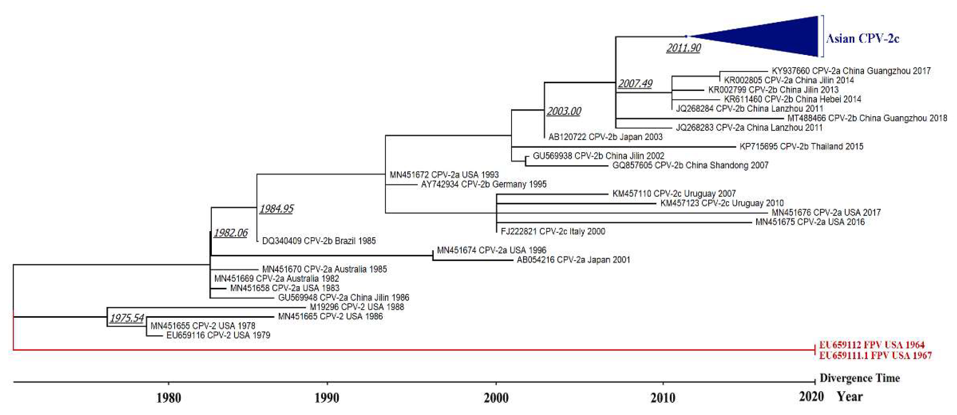 Viruses 13 02257 g004