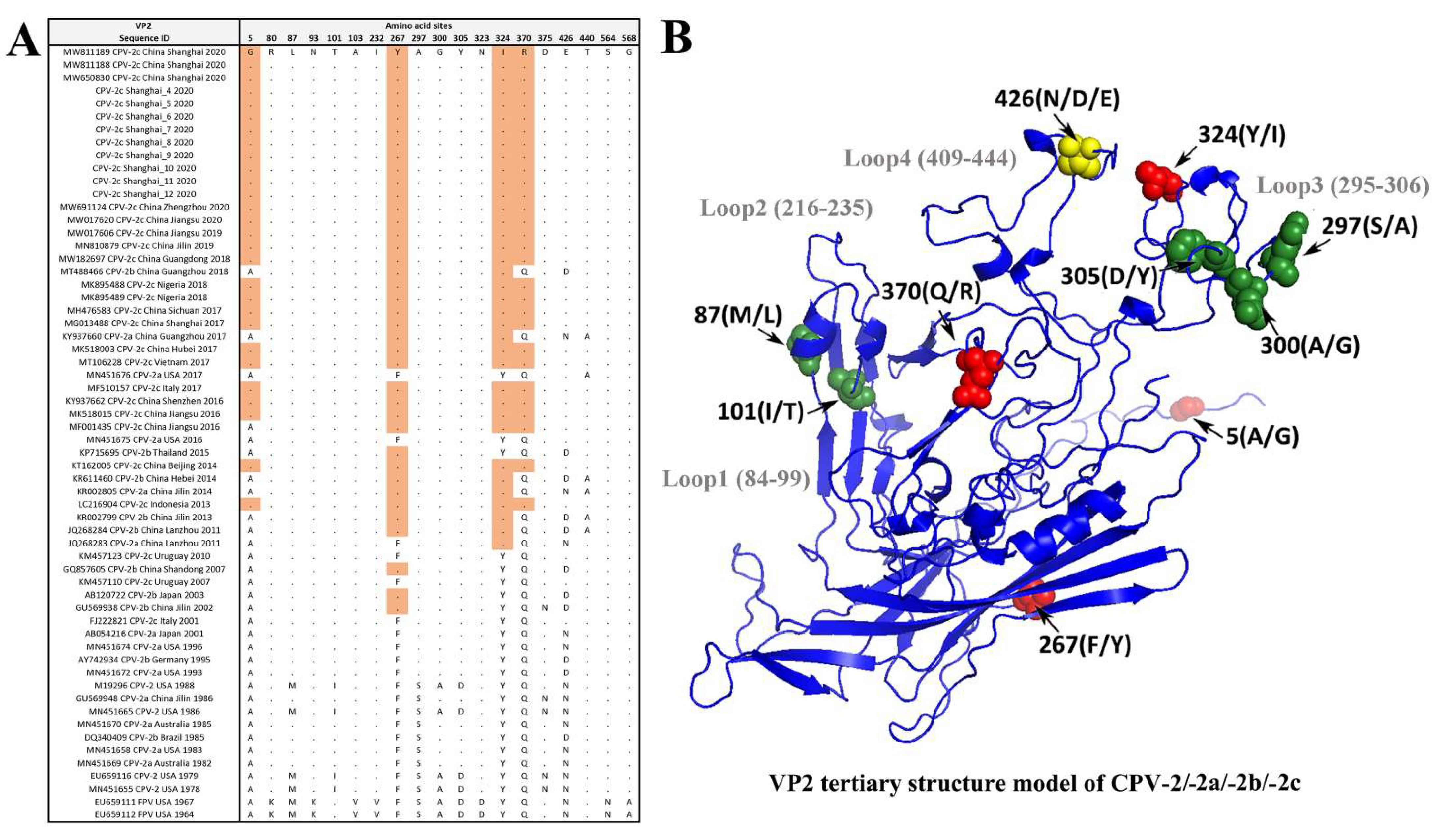 Viruses 13 02257 g005