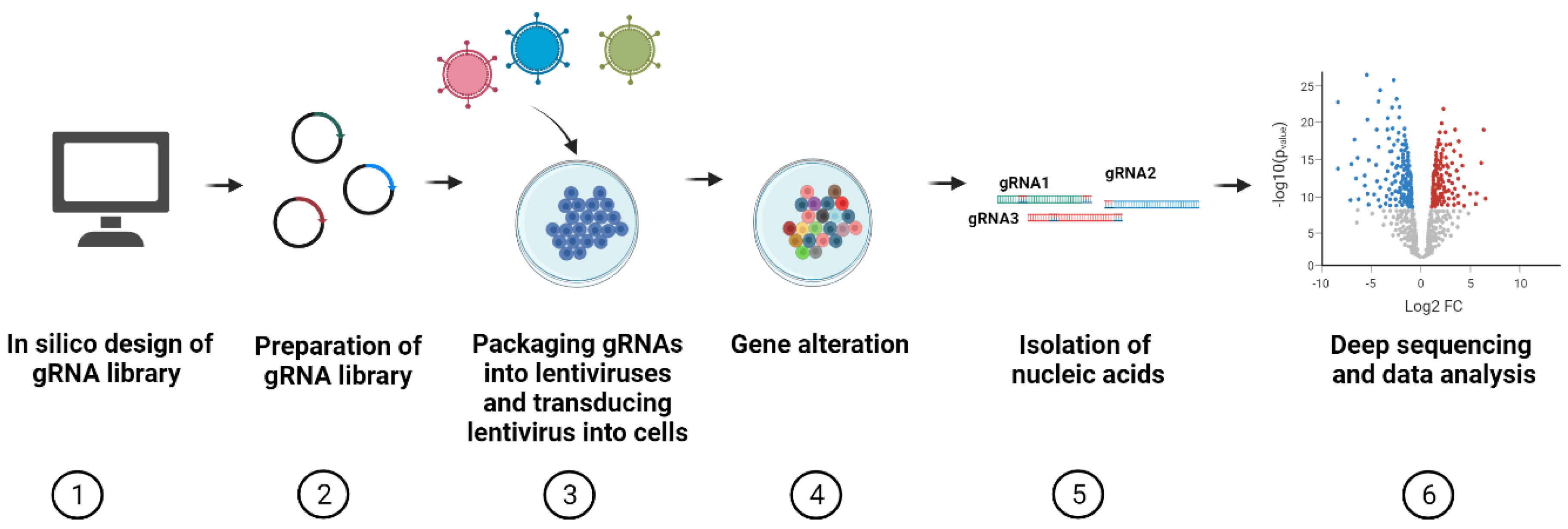 Viruses 13 02258 g001