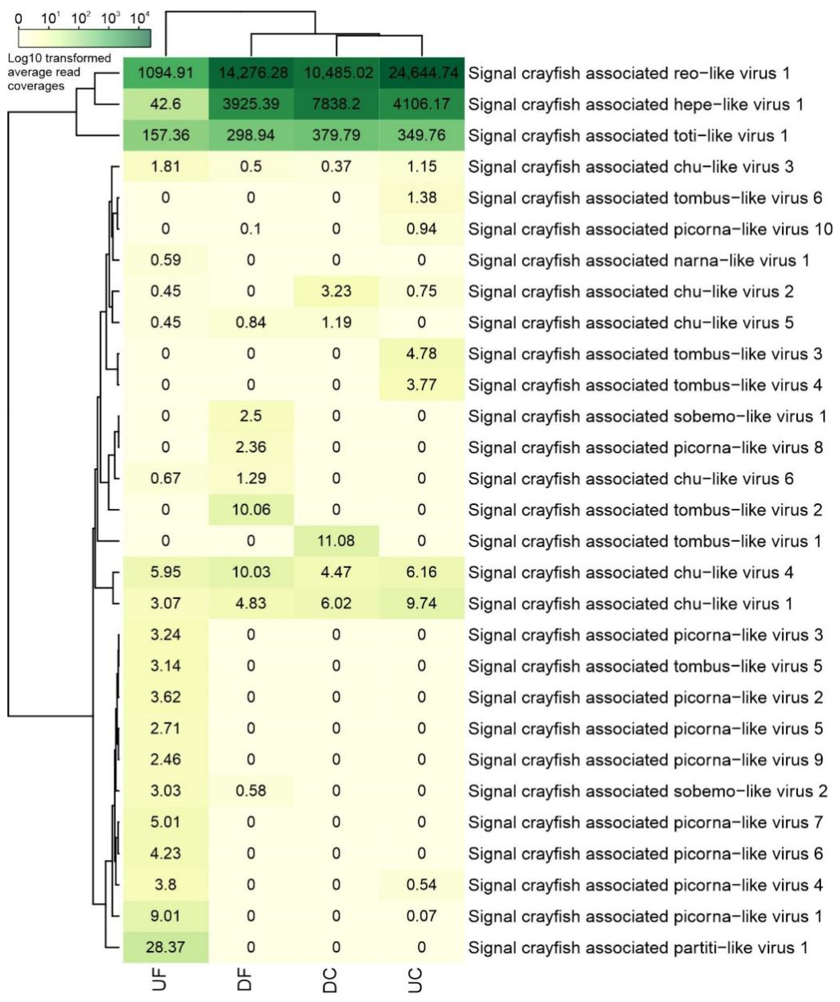 Viruses 13 02259 g002