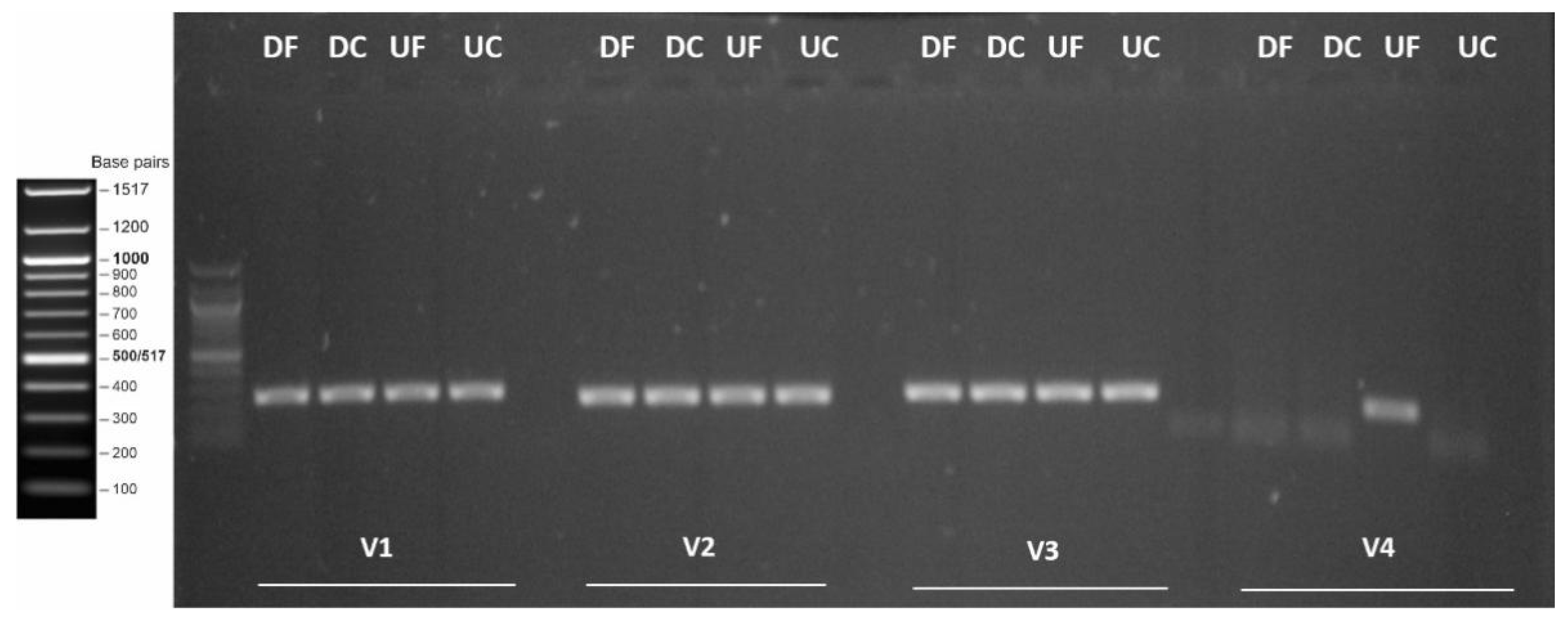 Viruses 13 02259 g003