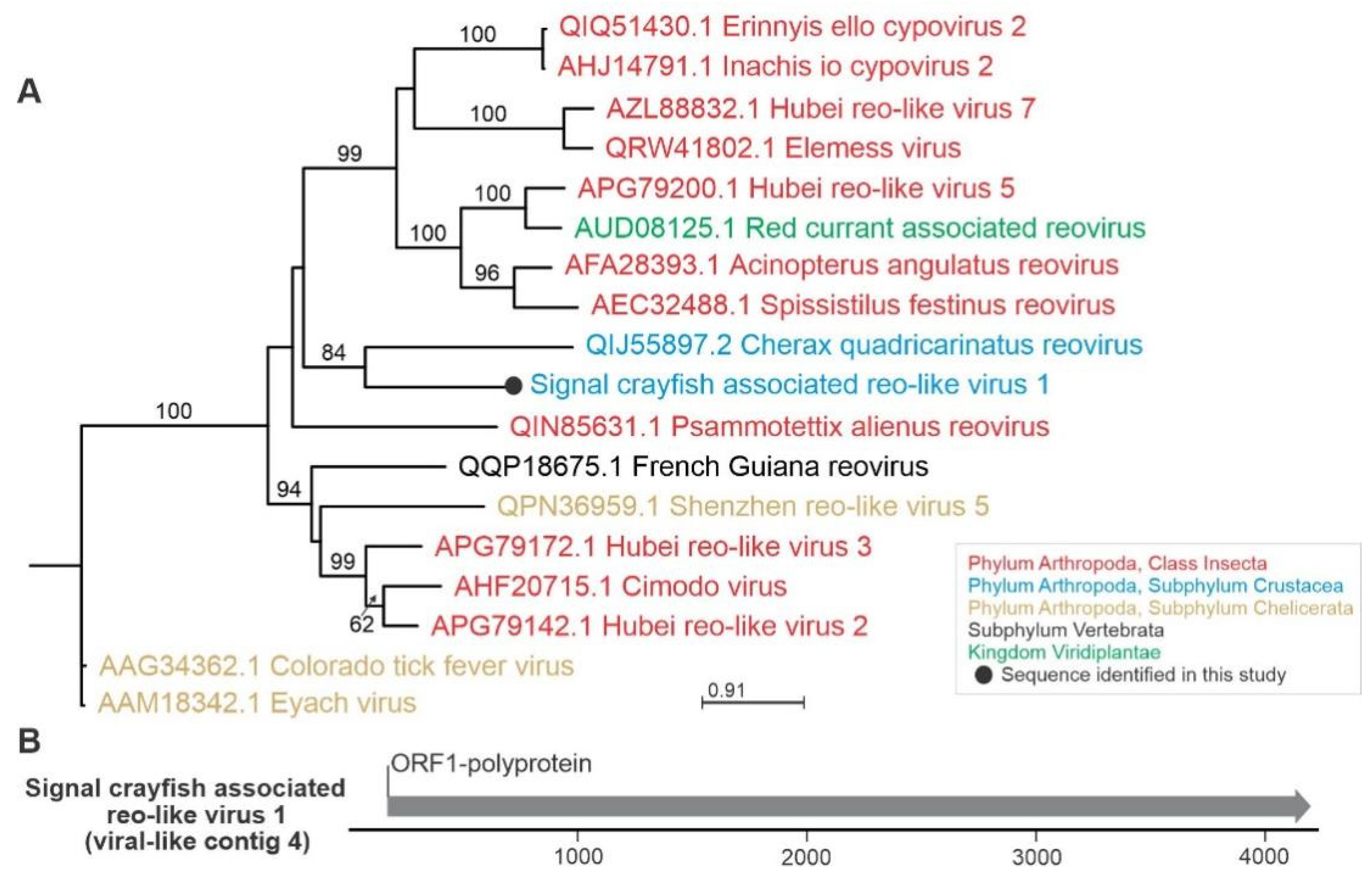 Viruses 13 02259 g004