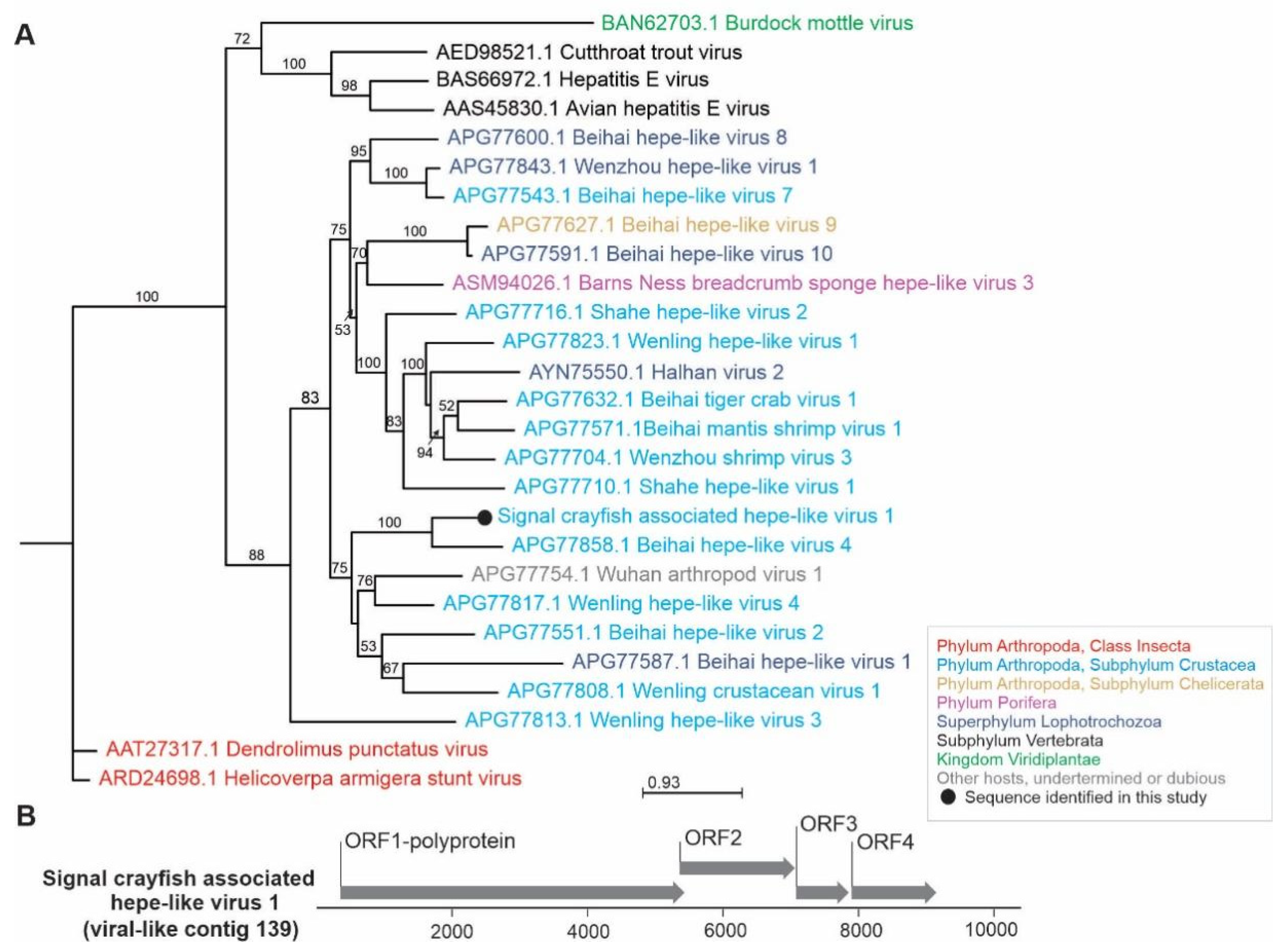 Viruses 13 02259 g005