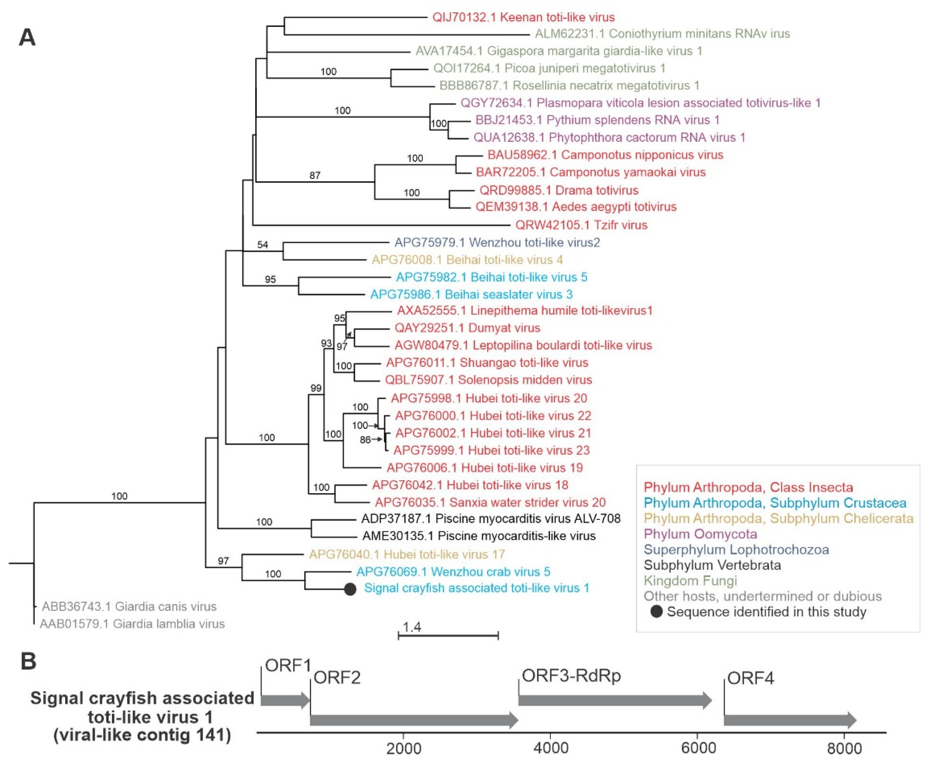 Viruses 13 02259 g006