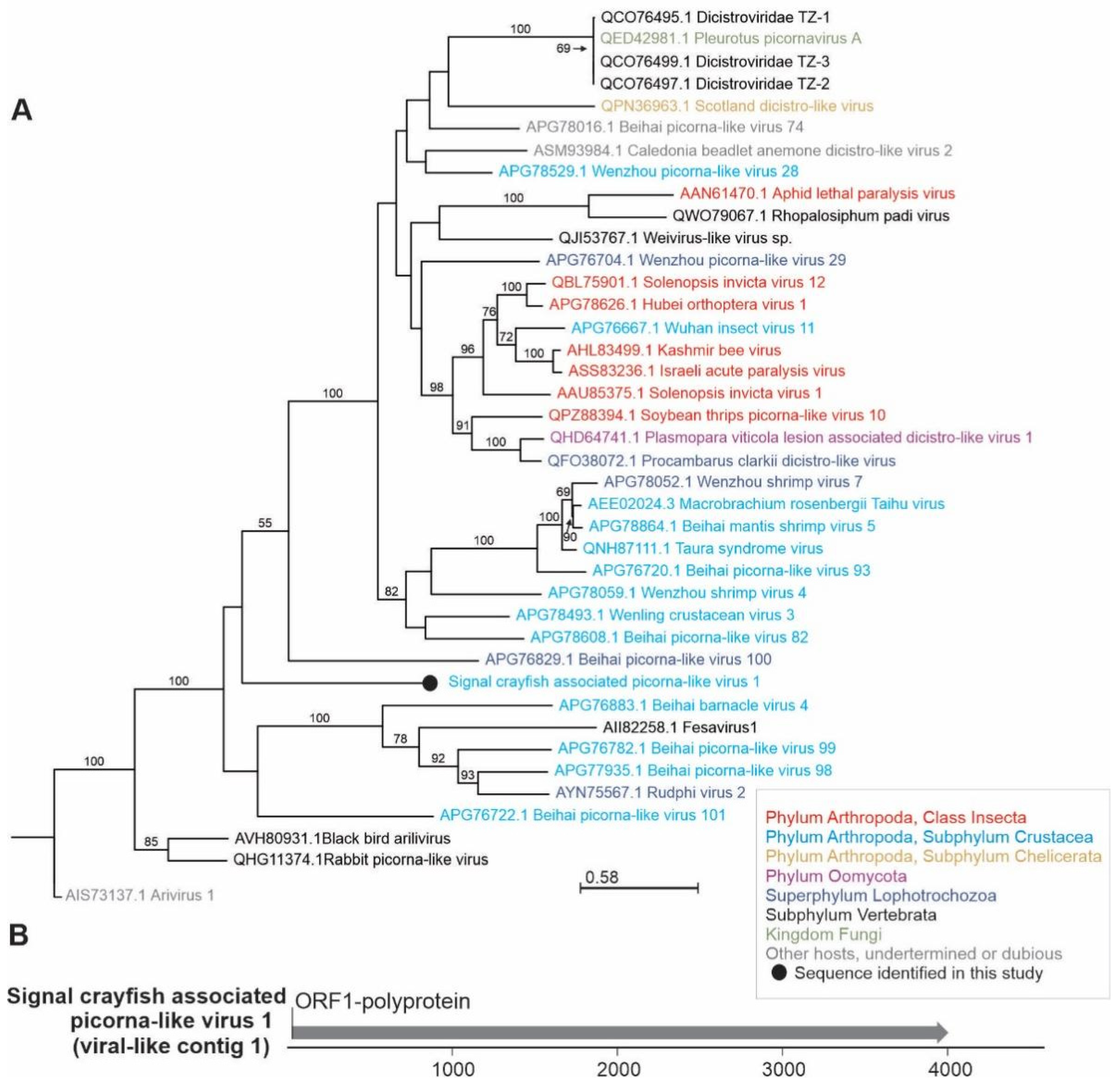 Viruses 13 02259 g007