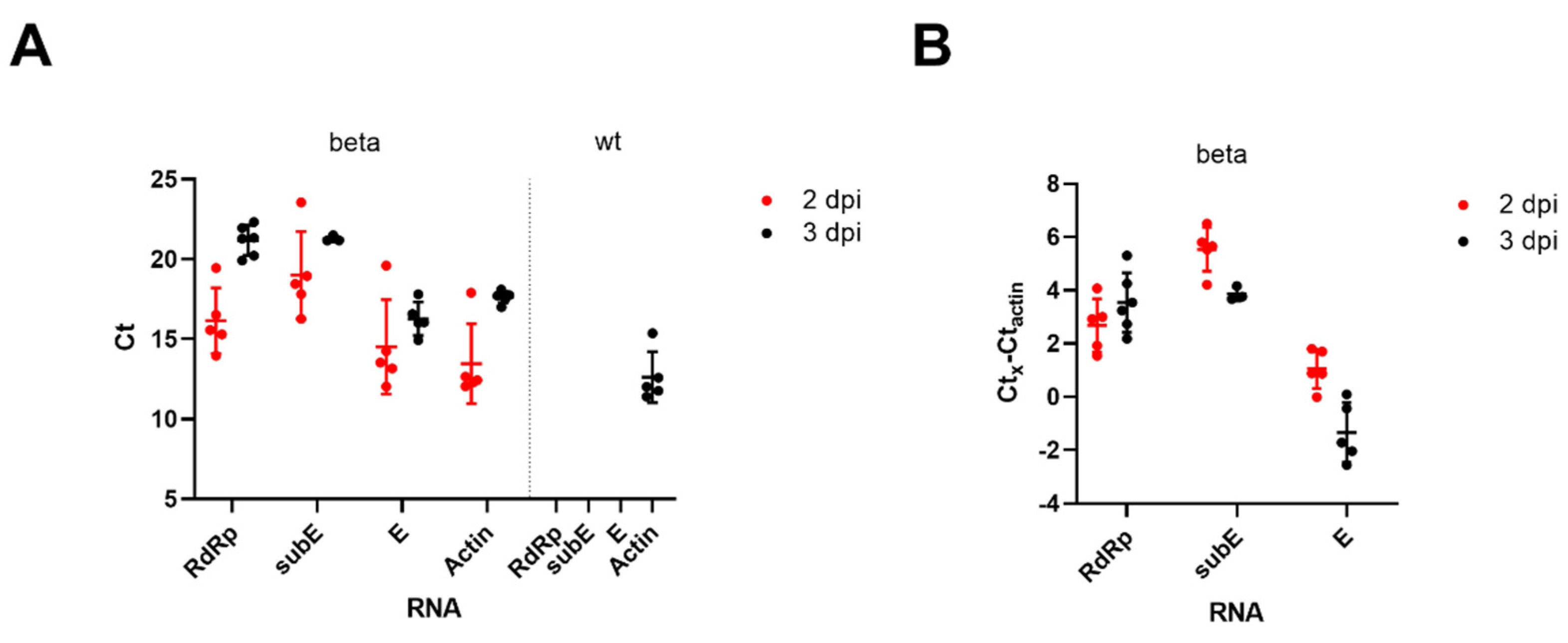 Viruses 13 02263 g001