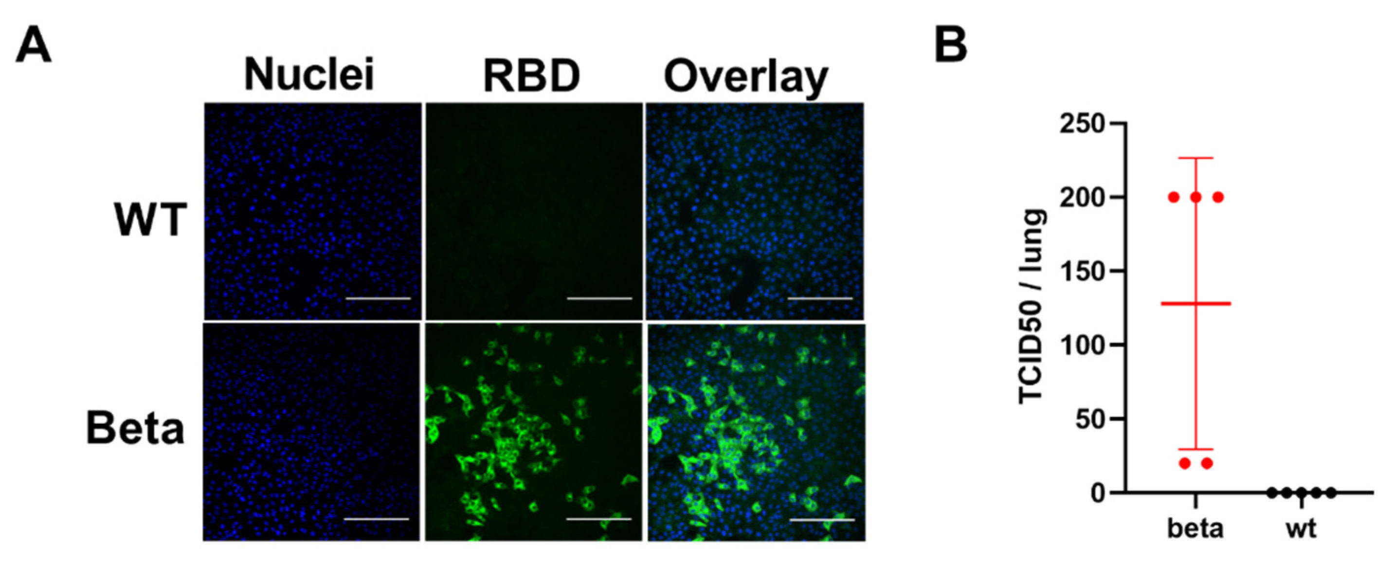 Viruses 13 02263 g002