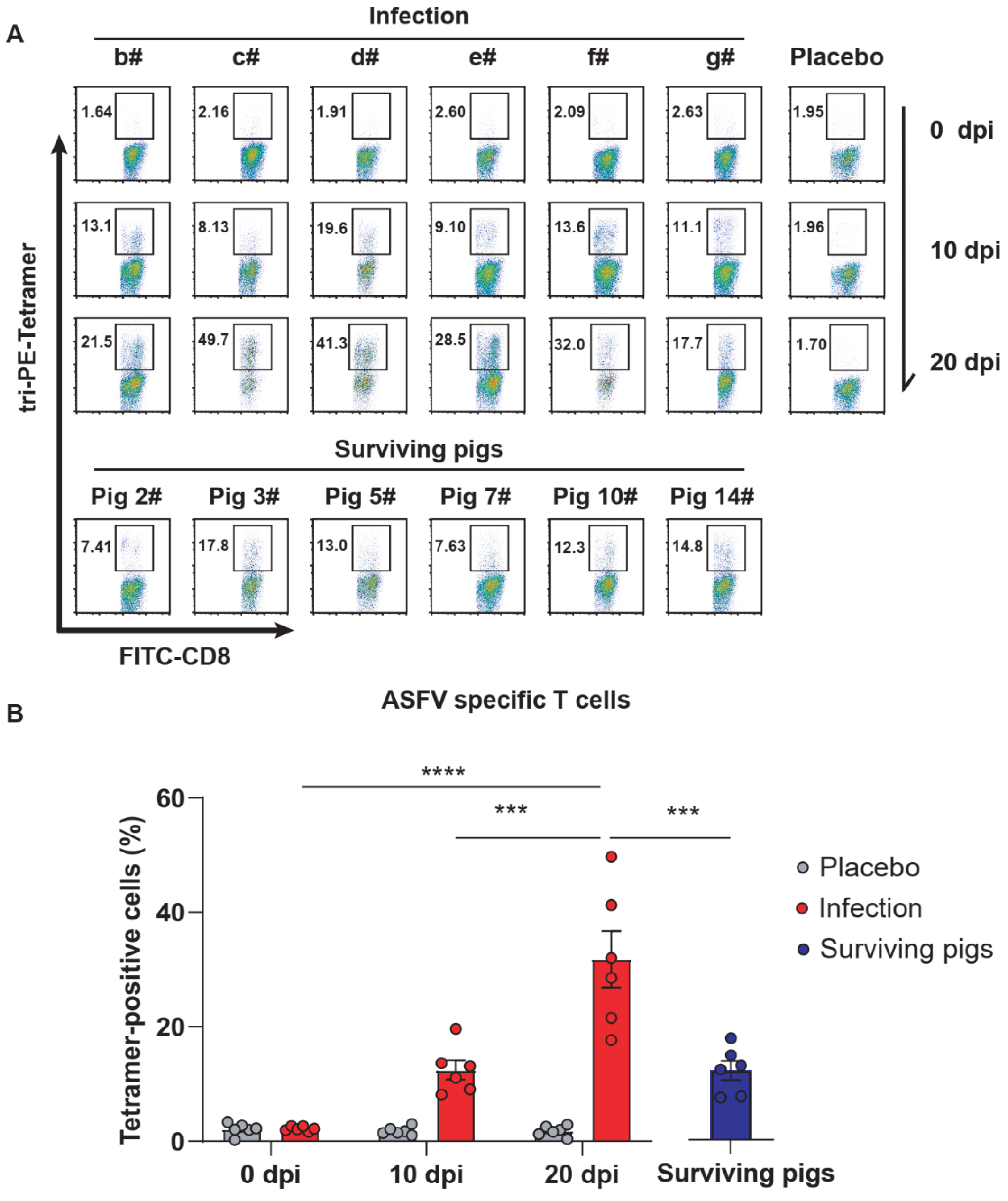 Viruses 13 02264 g005