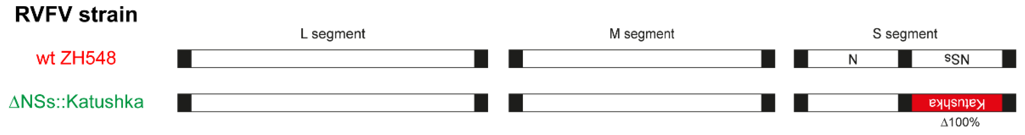 Viruses 13 02265 g001