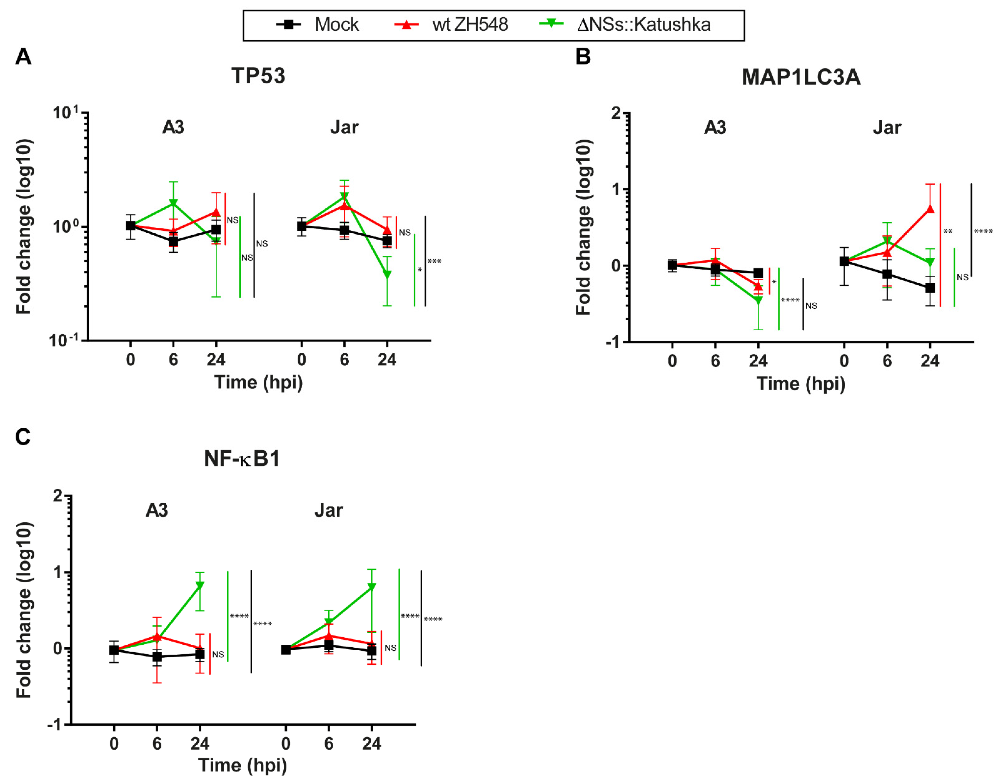 Viruses 13 02265 g007