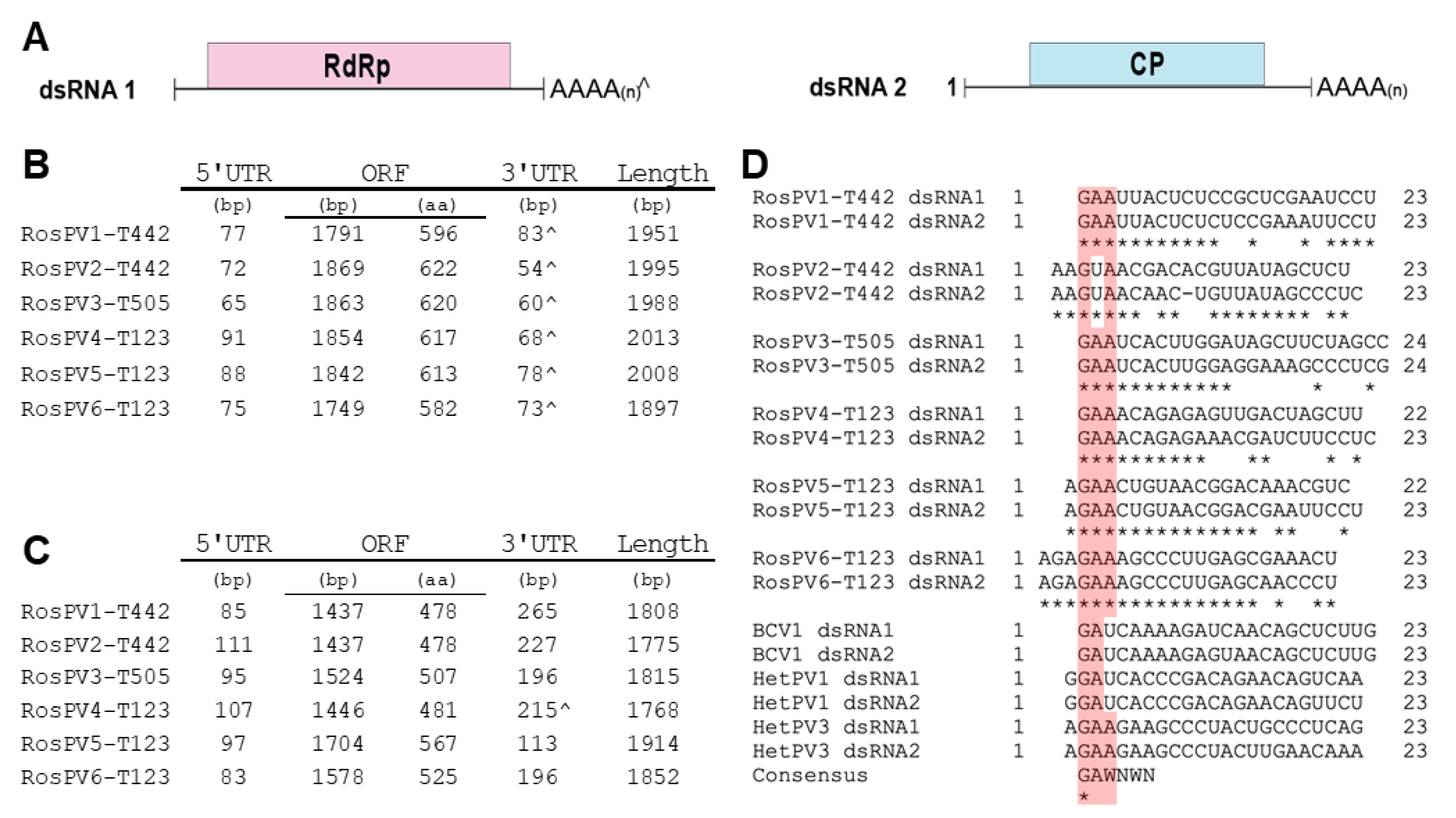 Viruses 13 02269 g002