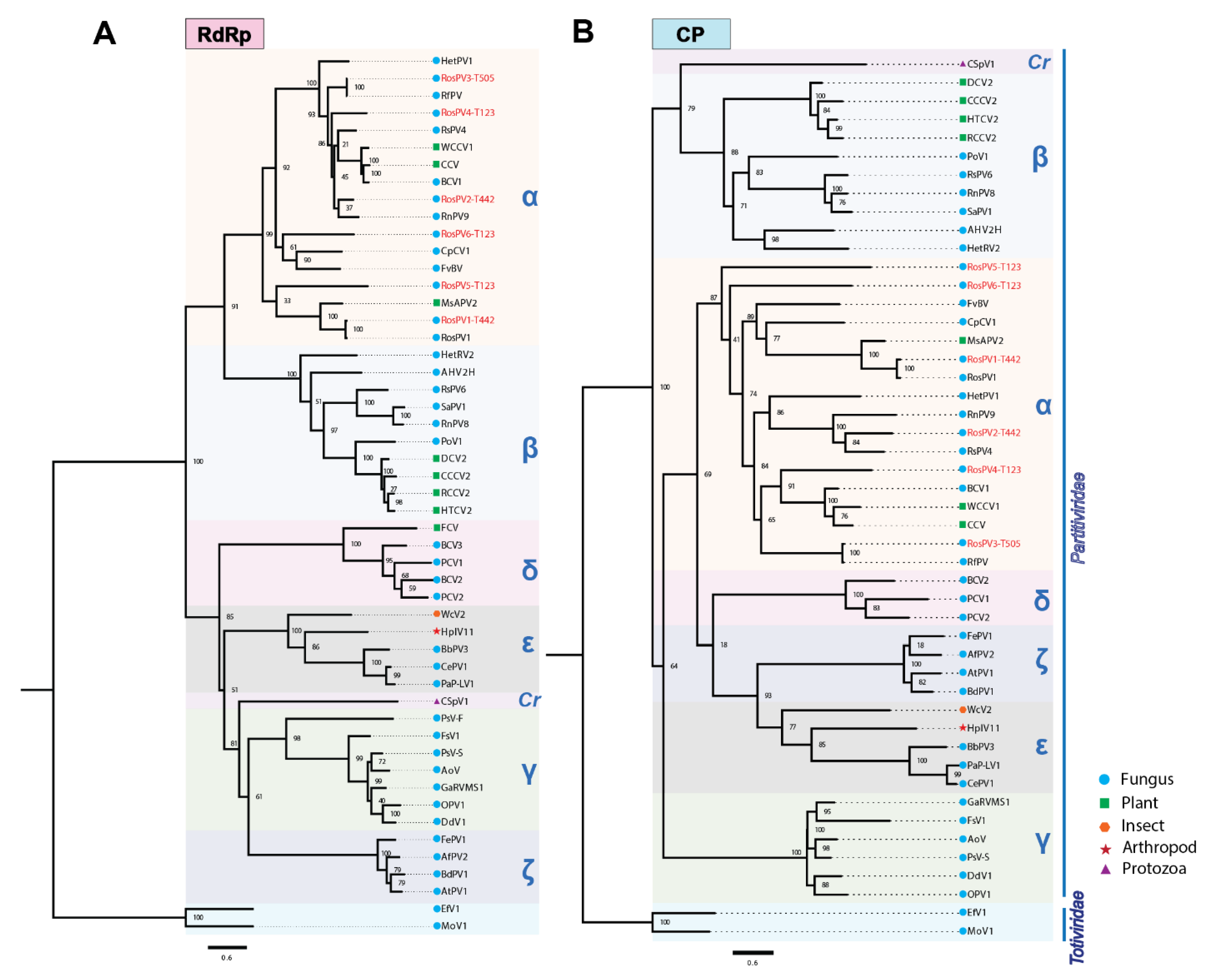 Viruses 13 02269 g003