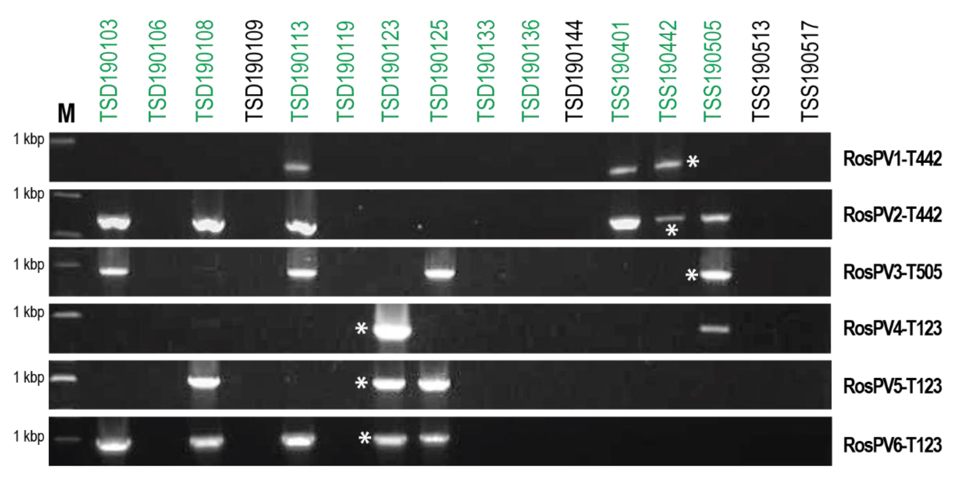 Viruses 13 02269 g004