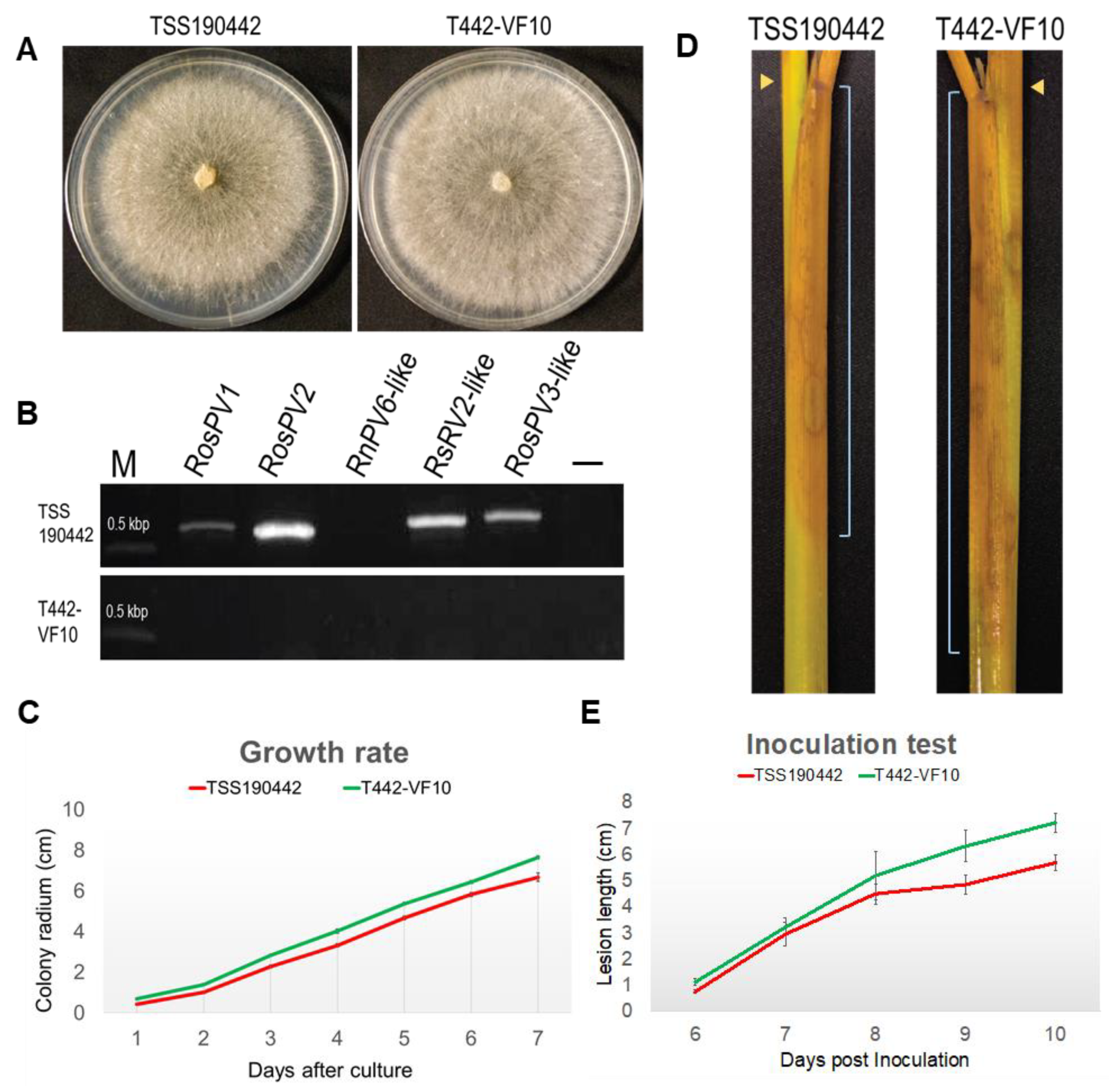 Viruses 13 02269 g005