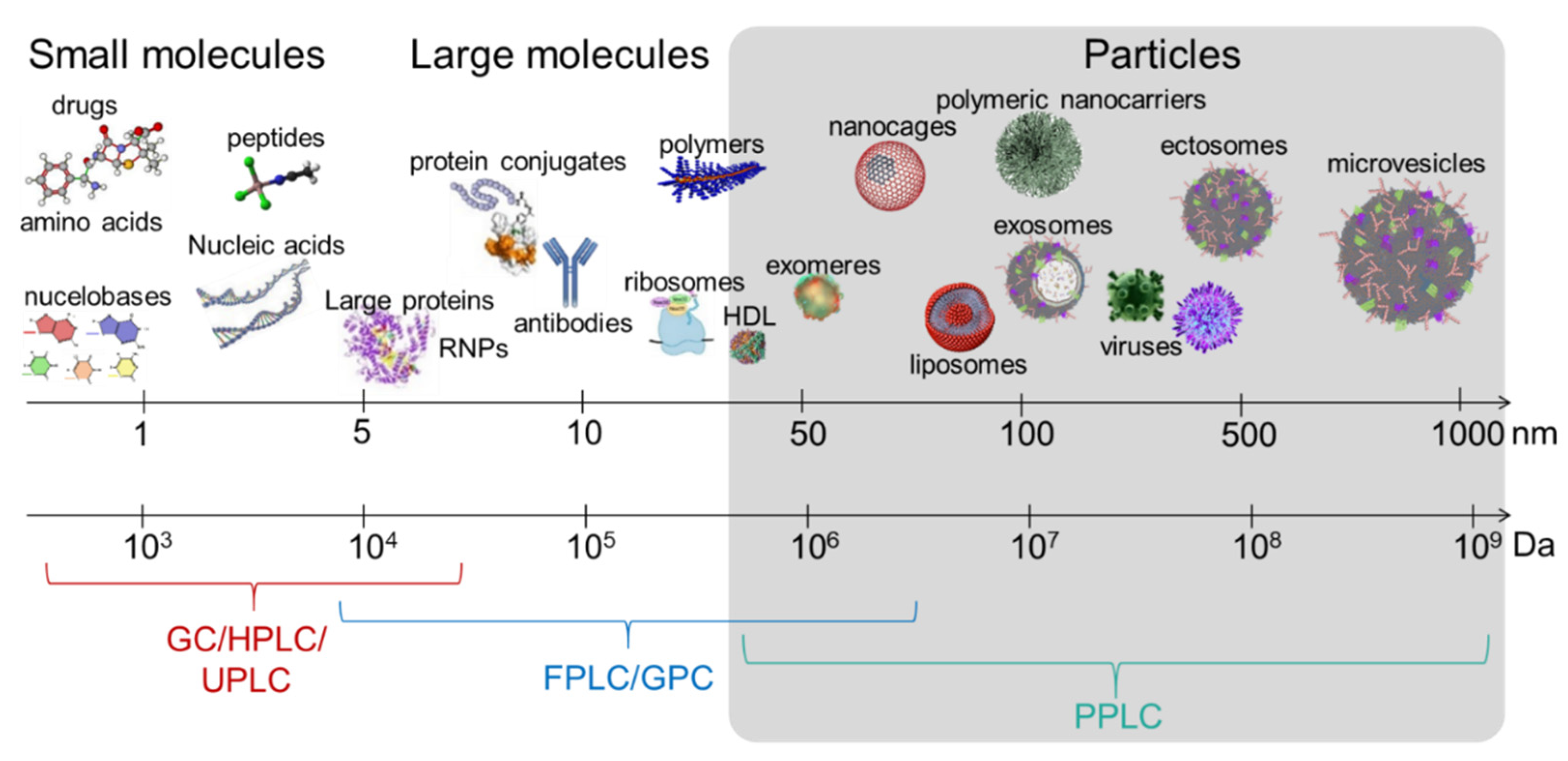 Viruses 13 02272 g002