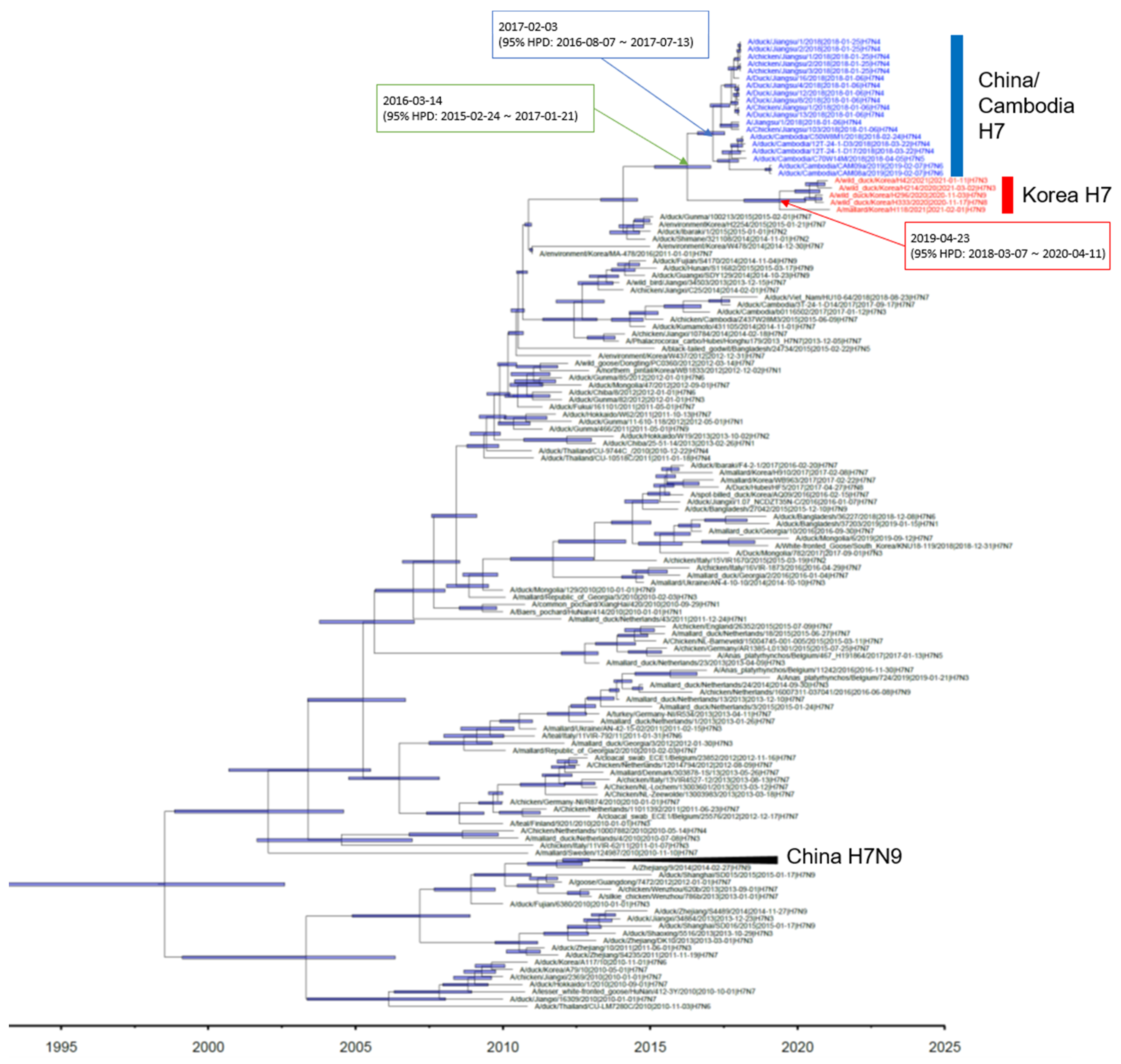 Viruses 13 02274 g001