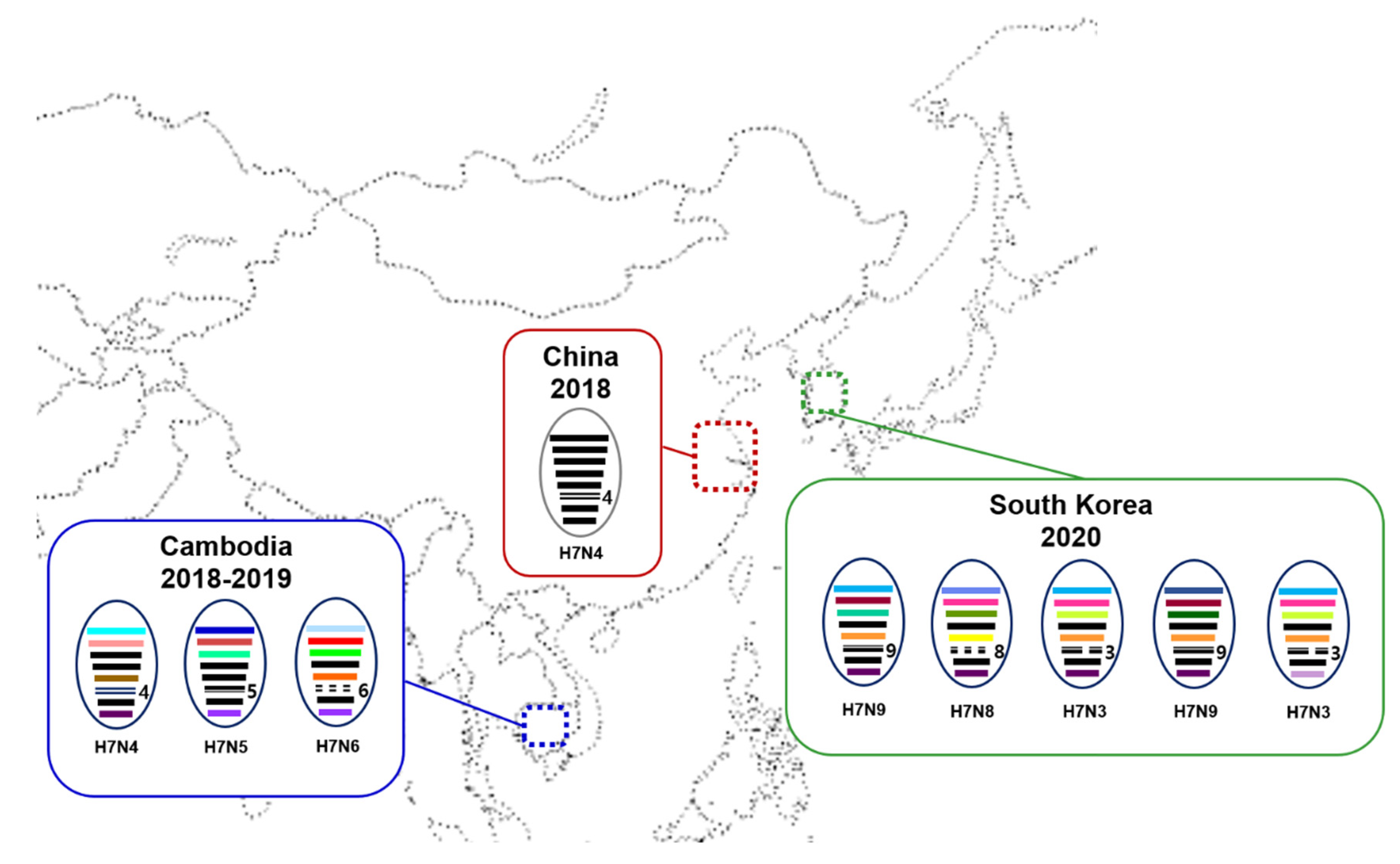 Viruses 13 02274 g002
