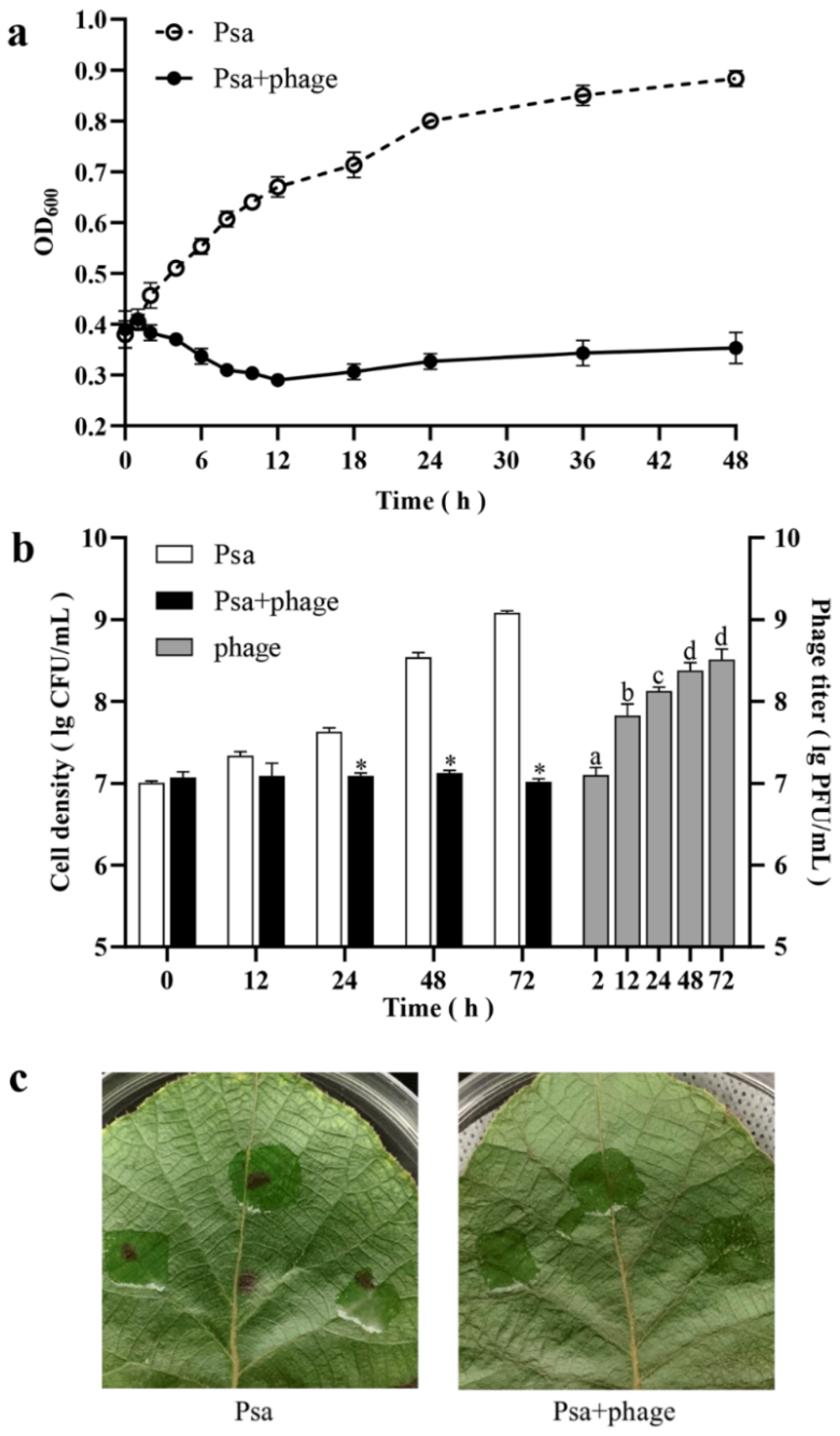Viruses 13 02275 g004