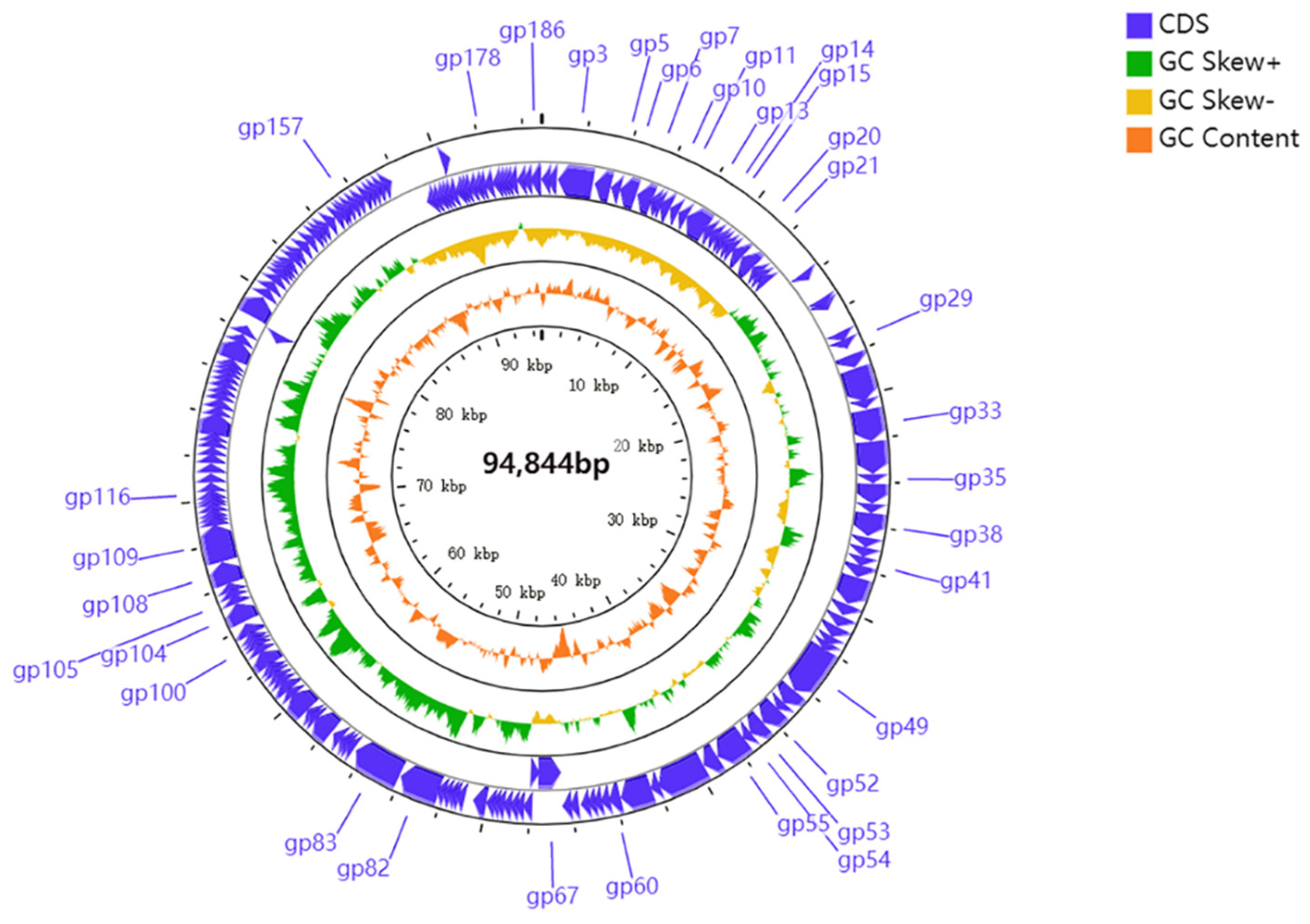 Viruses 13 02275 g005