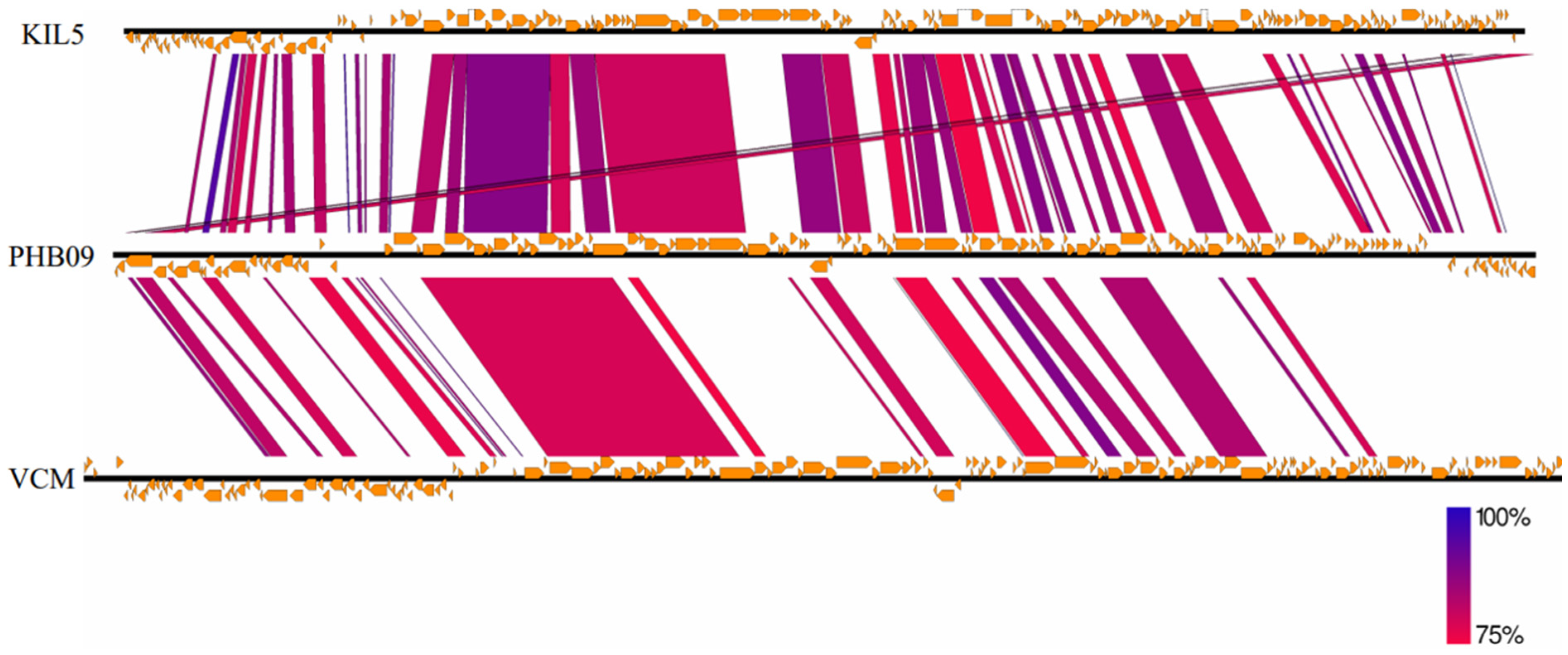 Viruses 13 02275 g007