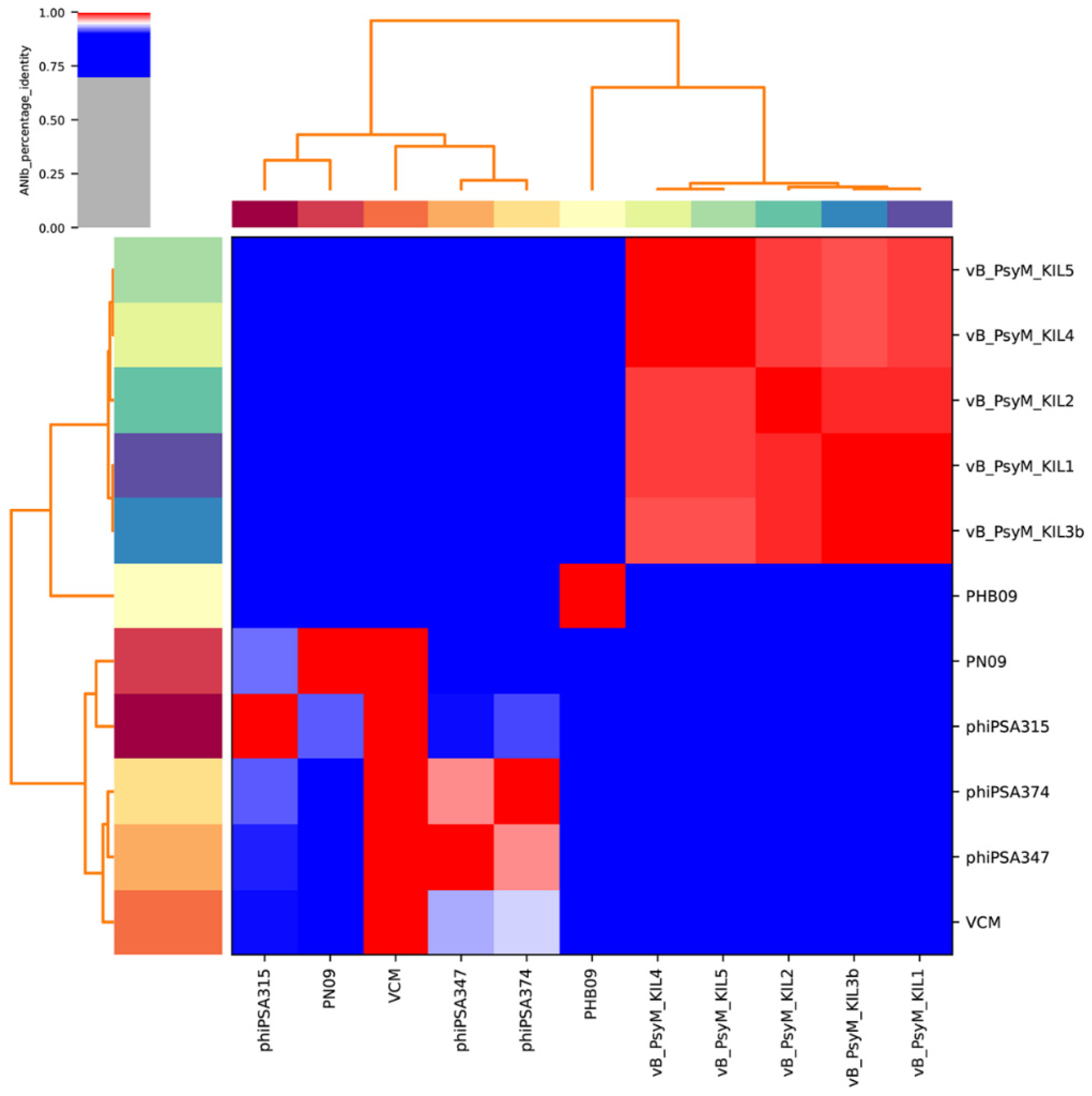 Viruses 13 02275 g008