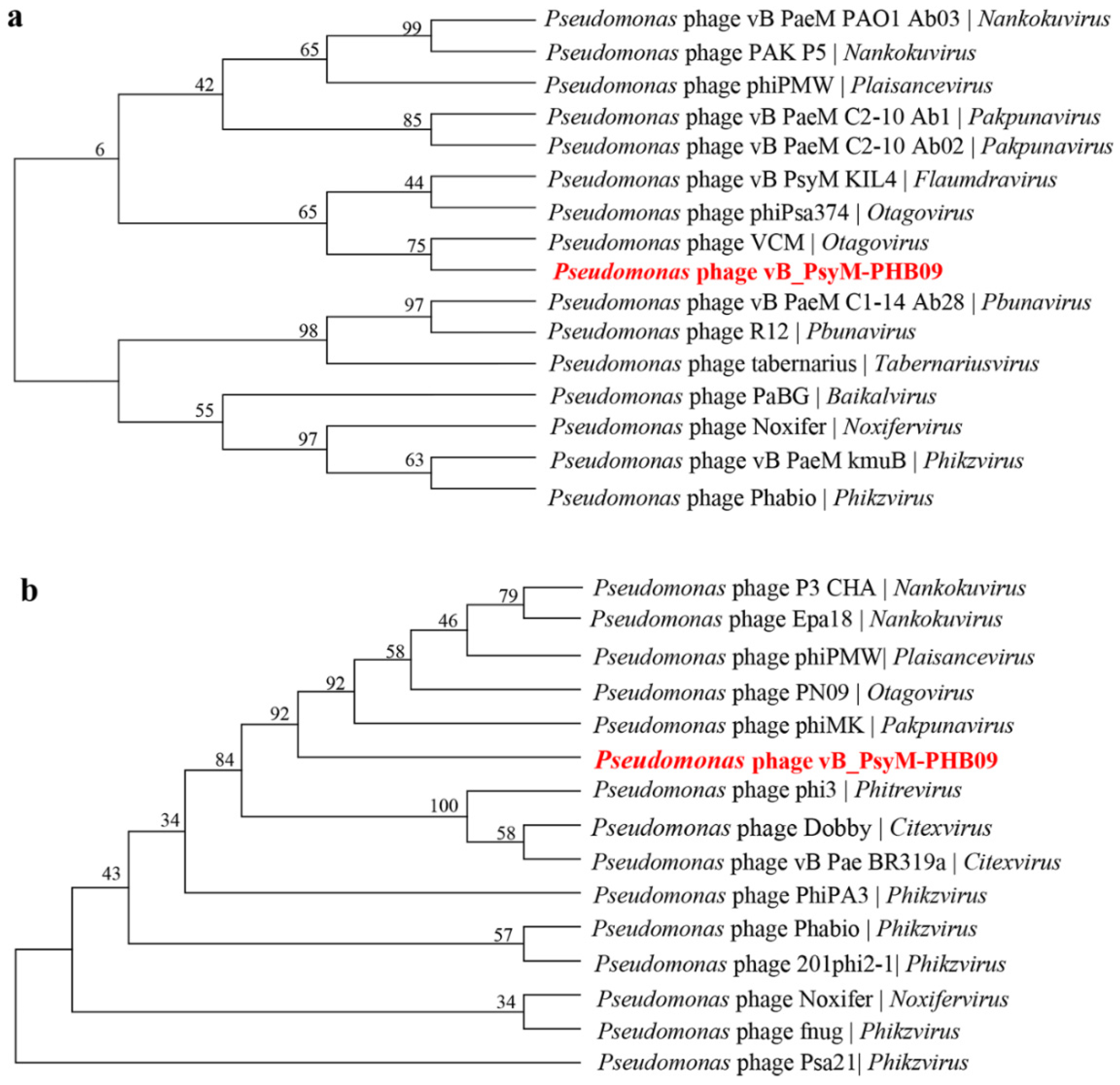 Viruses 13 02275 g009