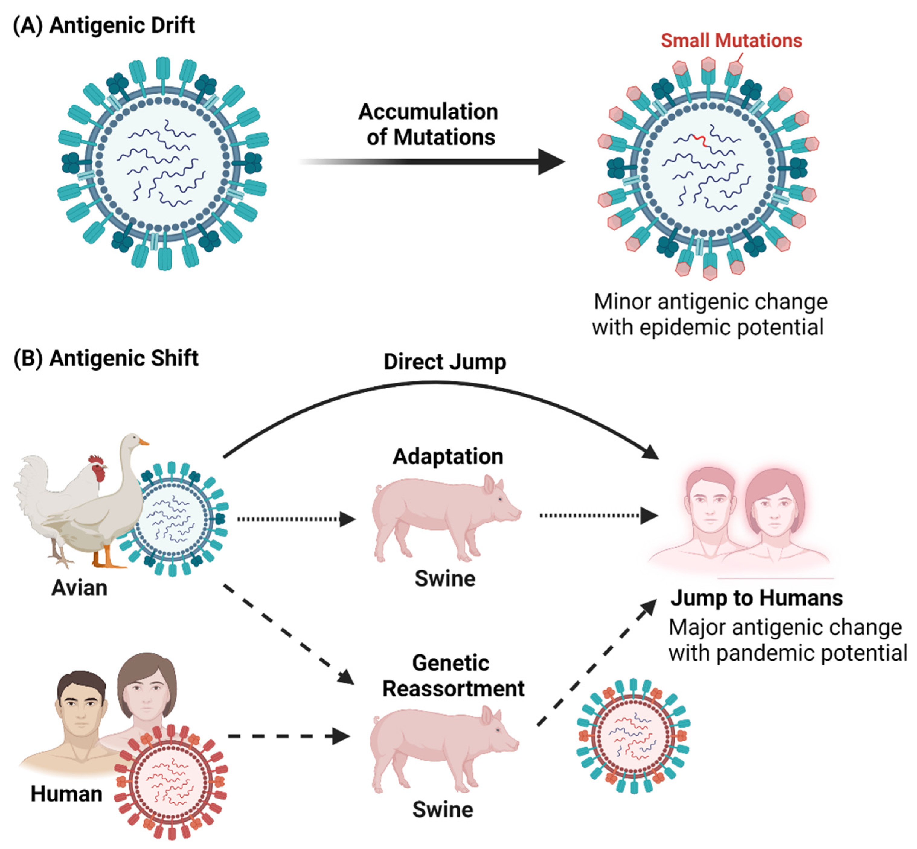 Viruses 13 02276 g002 Viruses 13 02276 g002