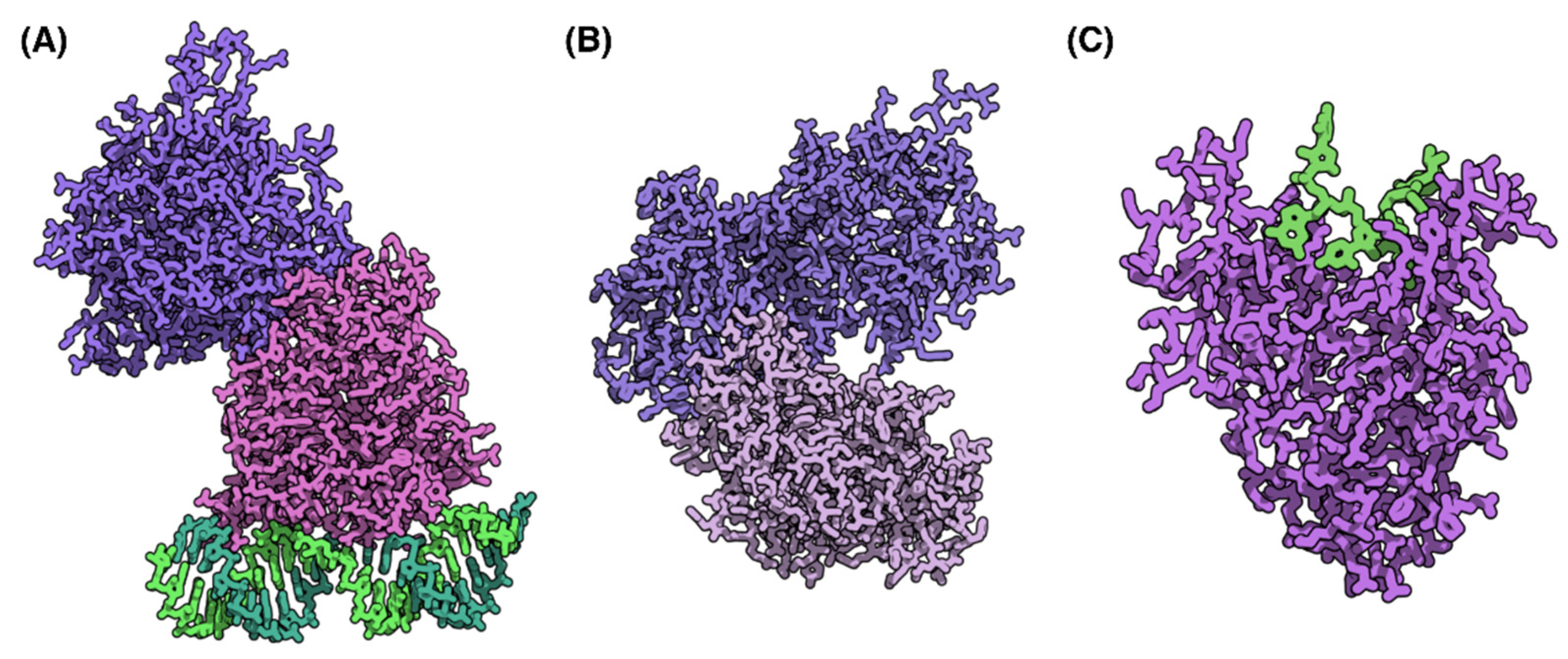 Viruses 13 02276 g004 Viruses 13 02276 g004
