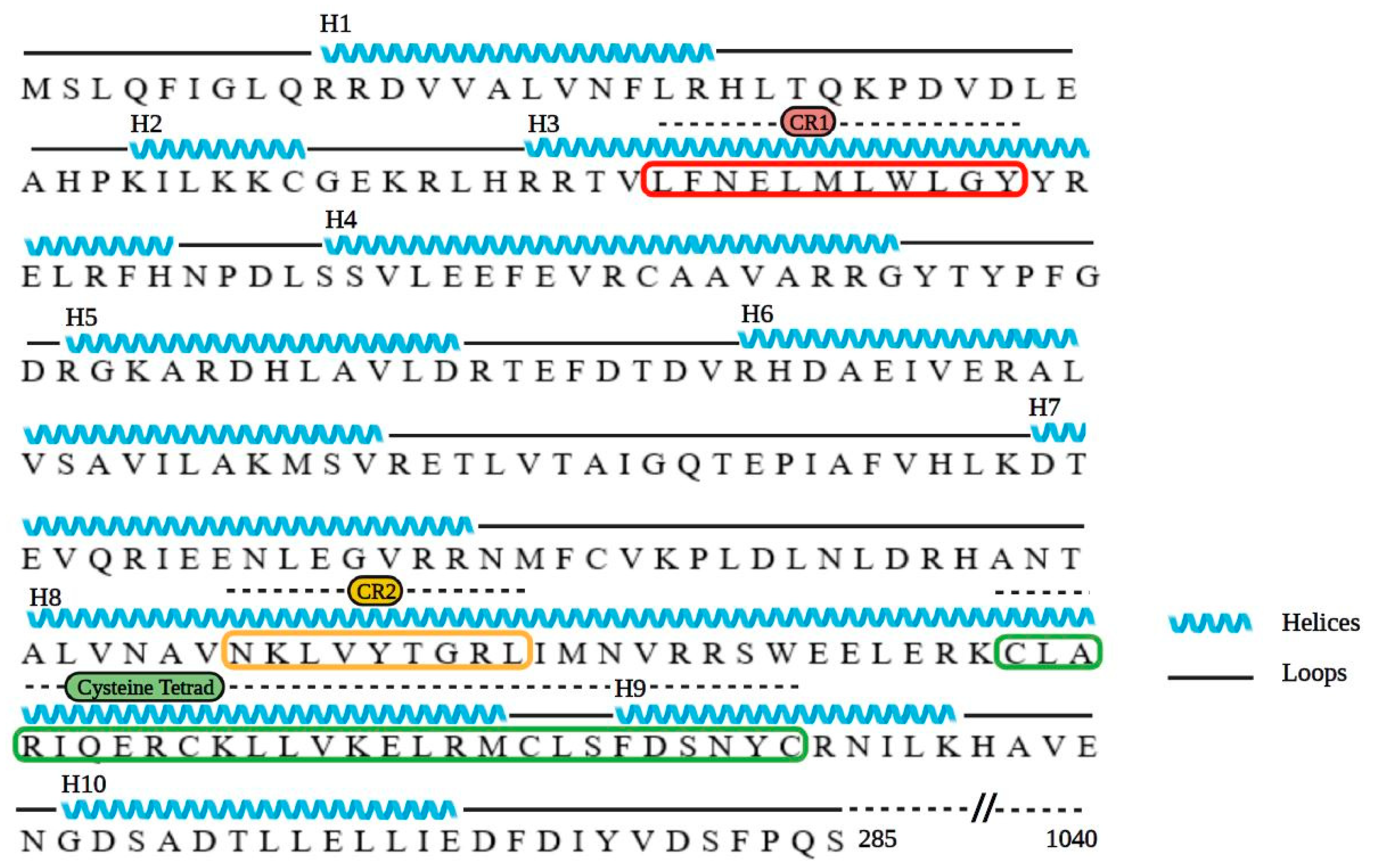 Viruses 13 02277 g002
