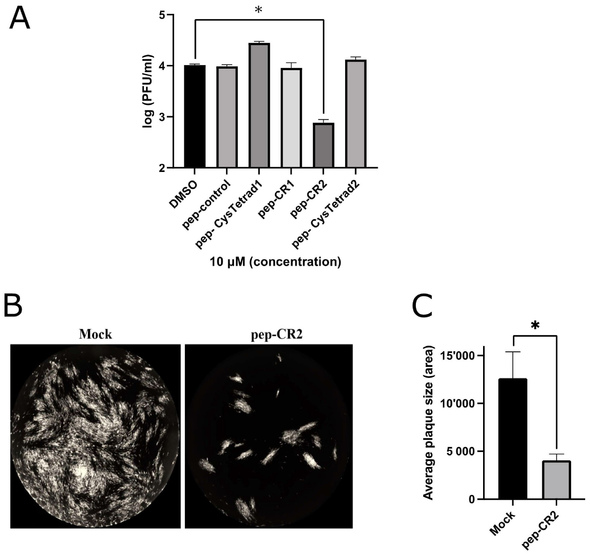 Viruses 13 02277 g003