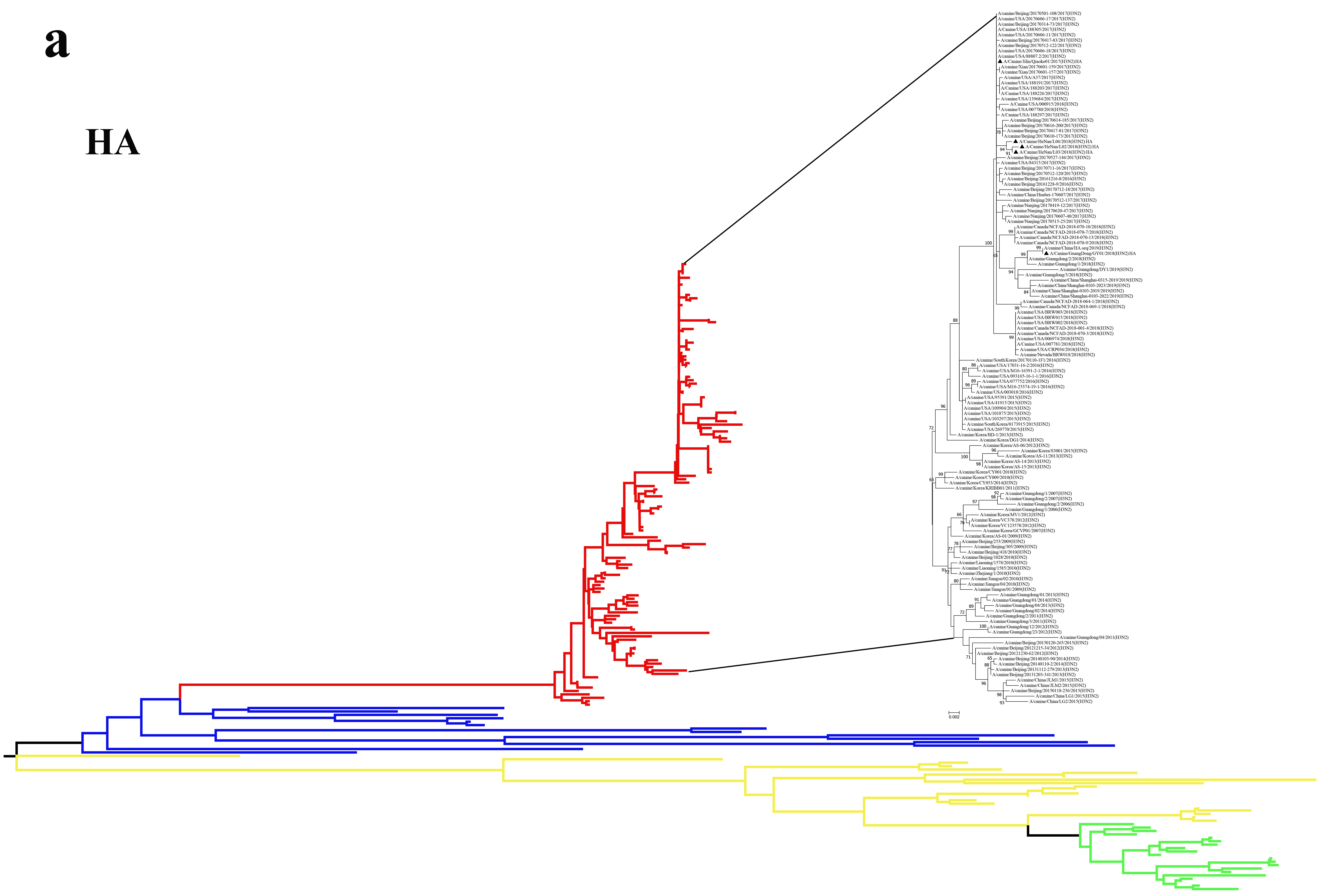 Viruses 13 02279 g001a Viruses 13 02279 g001a