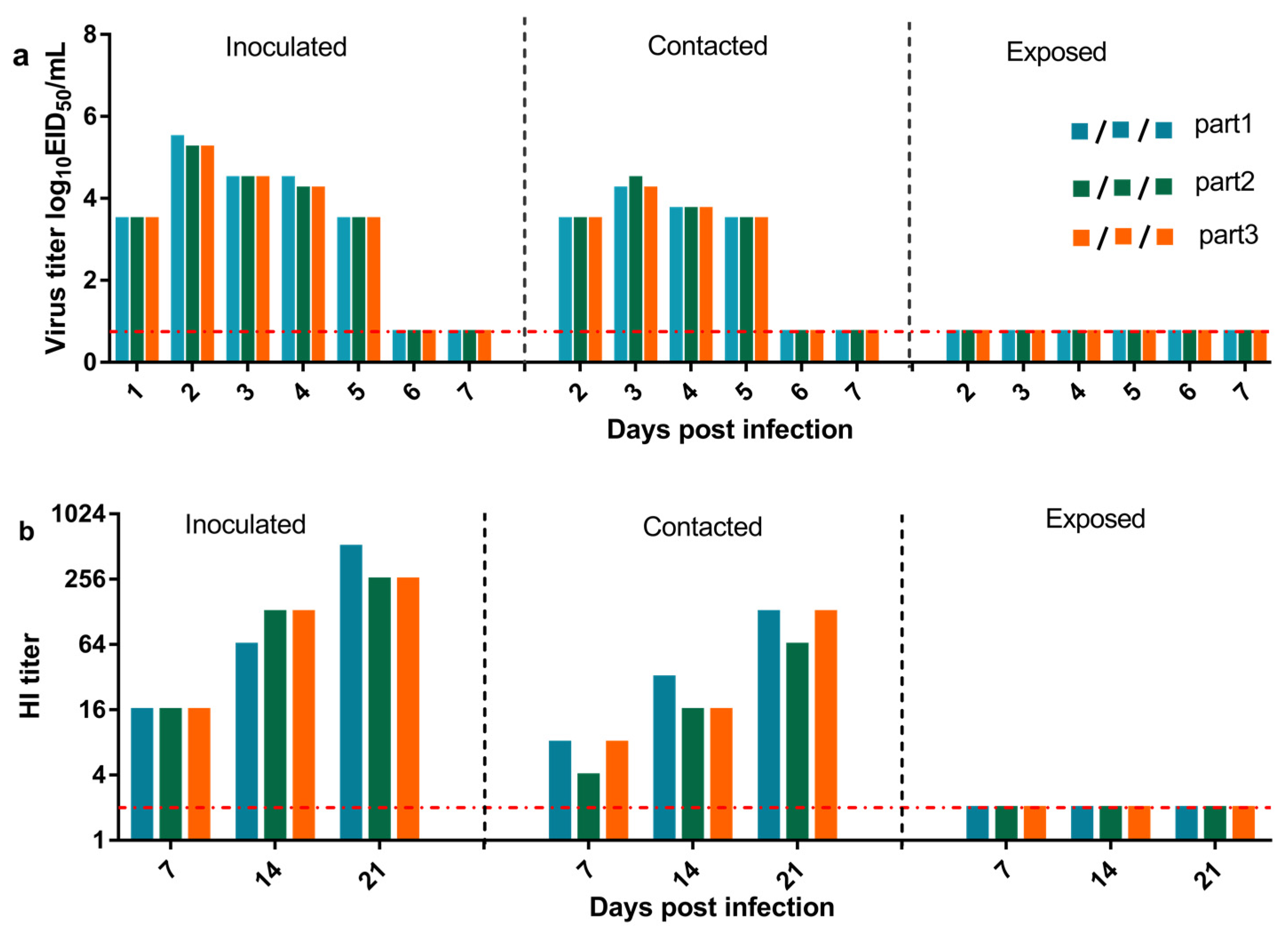 Viruses 13 02279 g007 Viruses 13 02279 g007