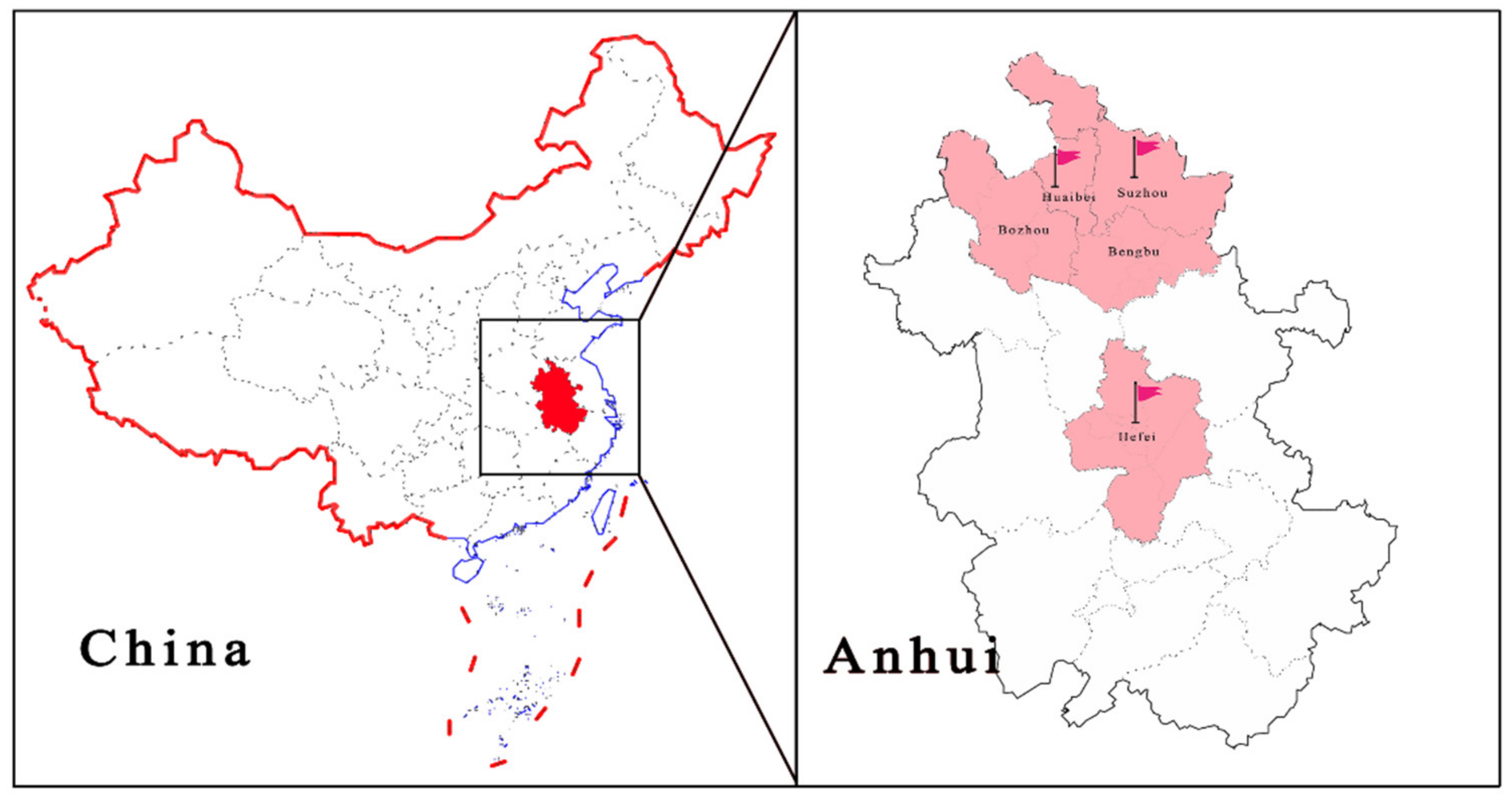 Viruses 13 02282 g001