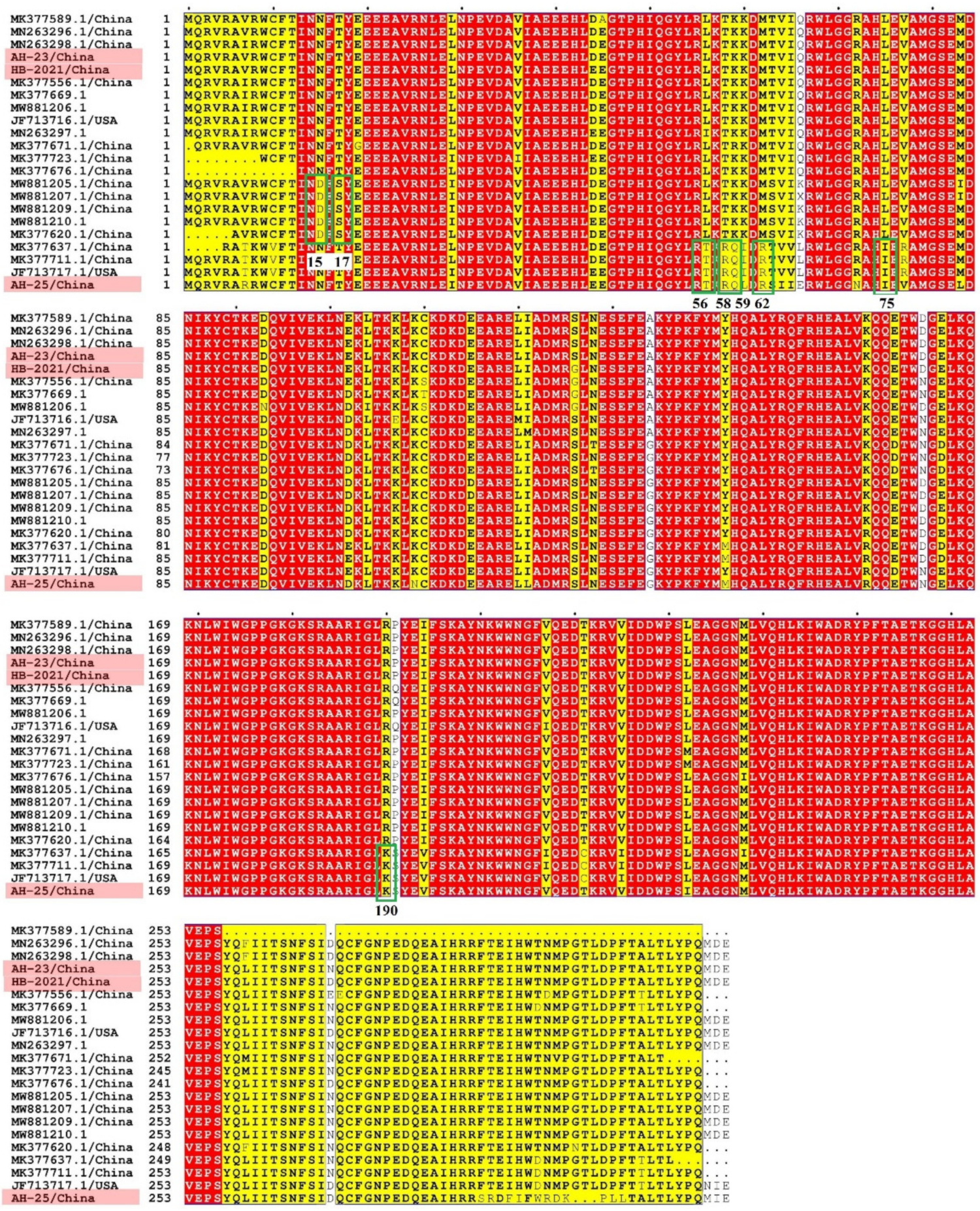 Viruses 13 02282 g003