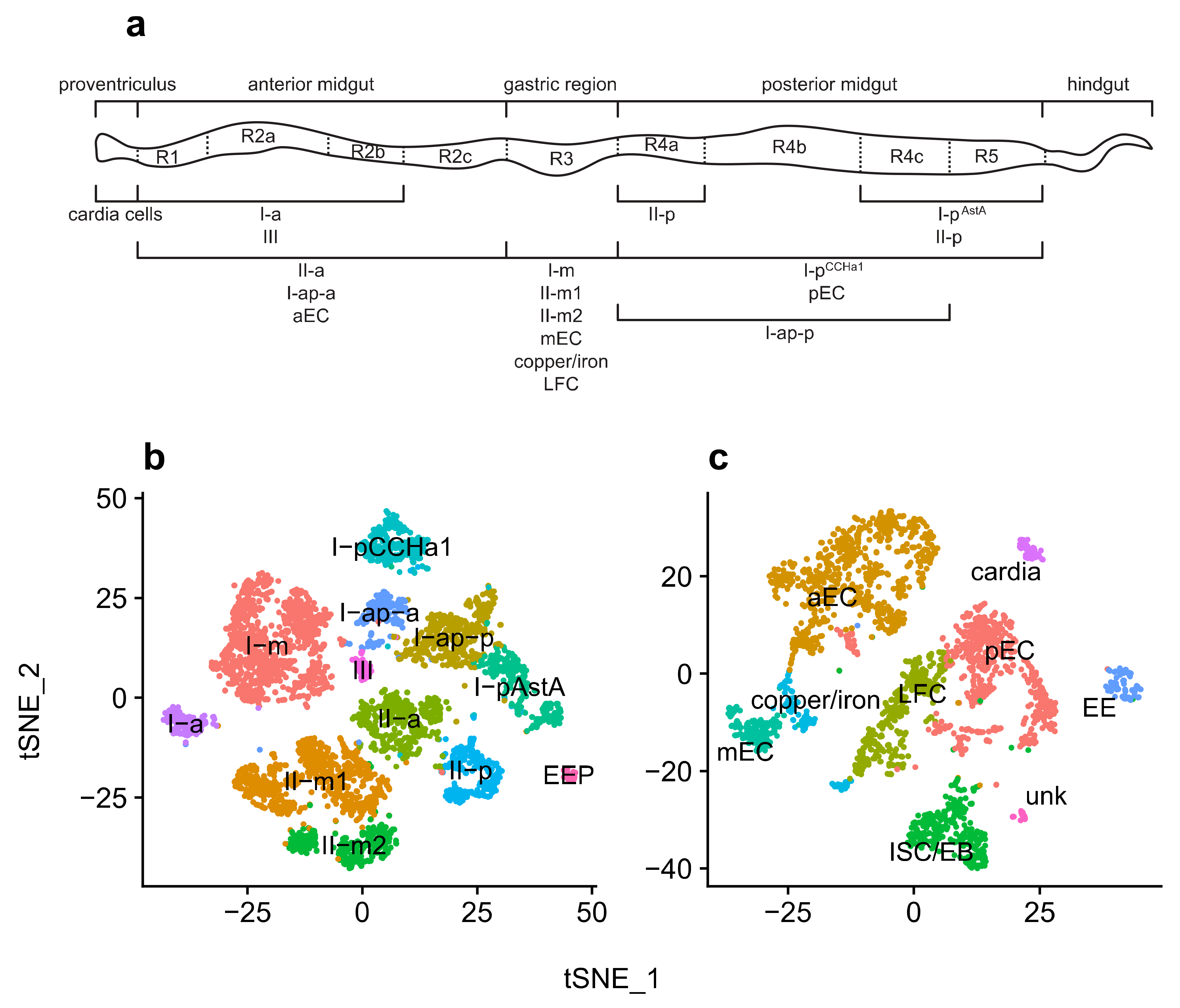 Viruses 13 02284 g001
