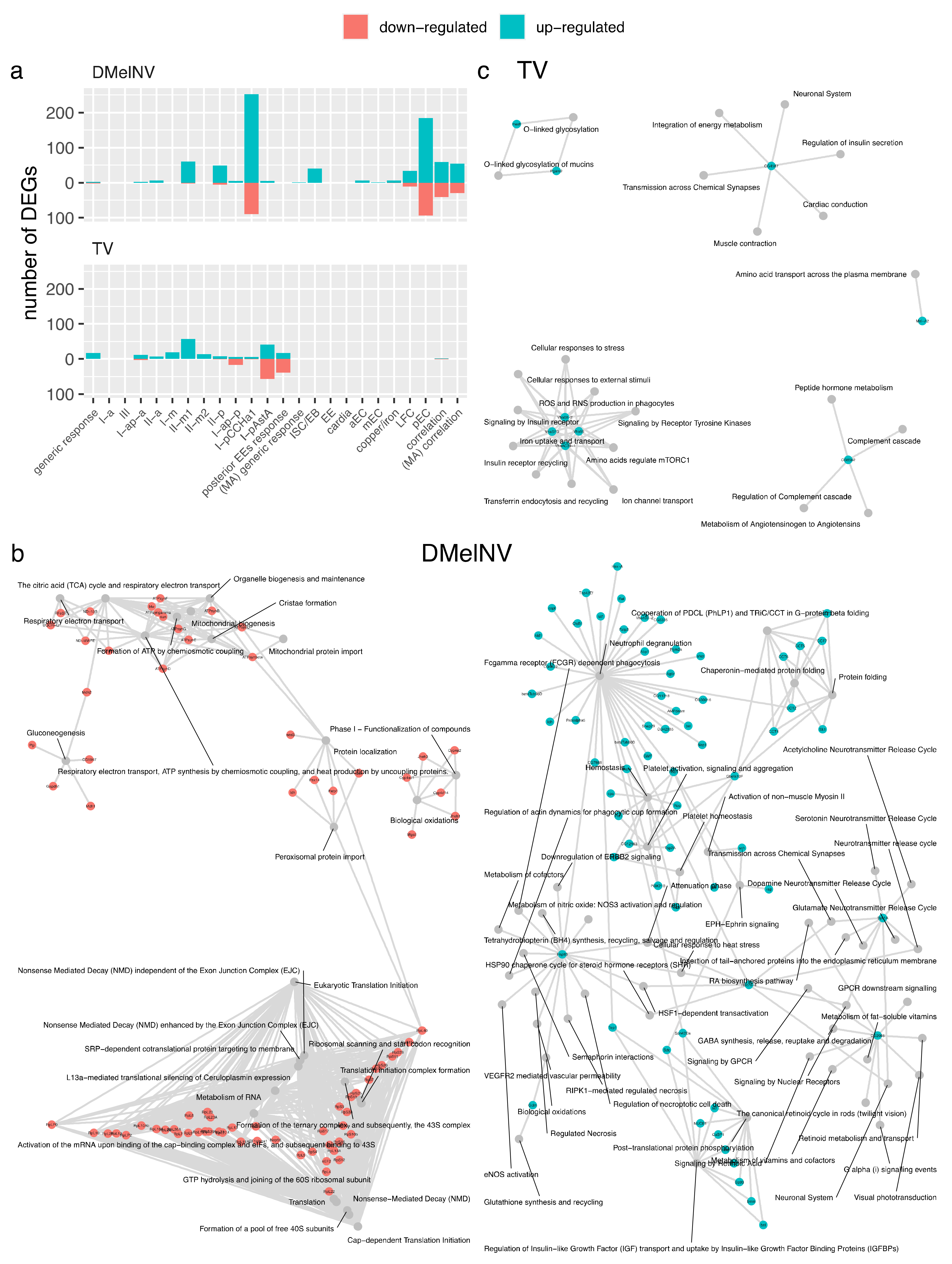 Viruses 13 02284 g003
