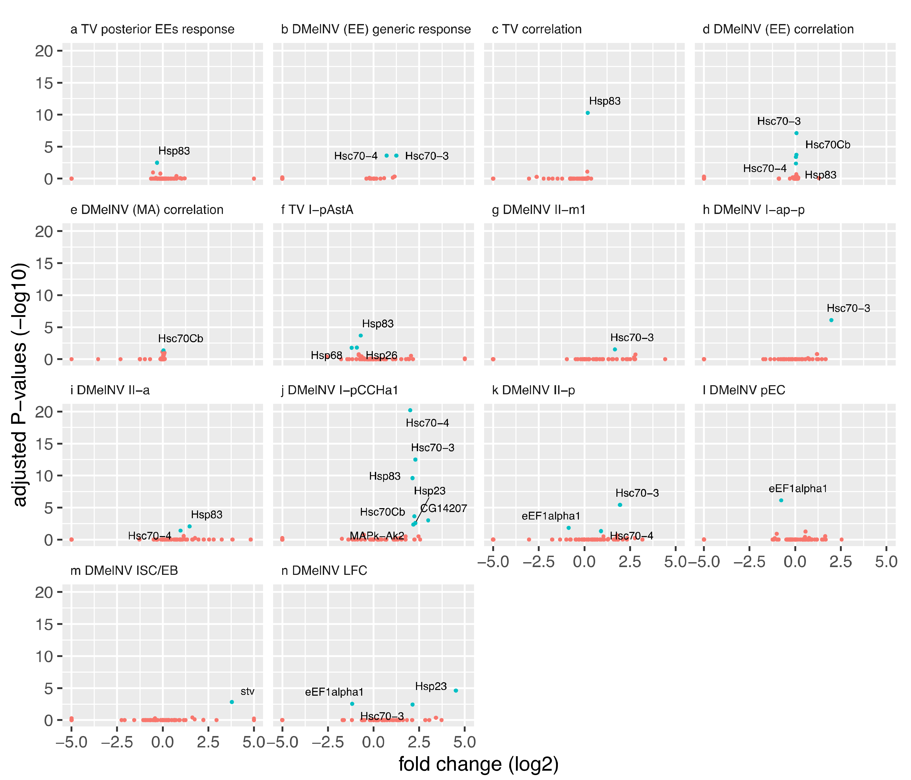 Viruses 13 02284 g004