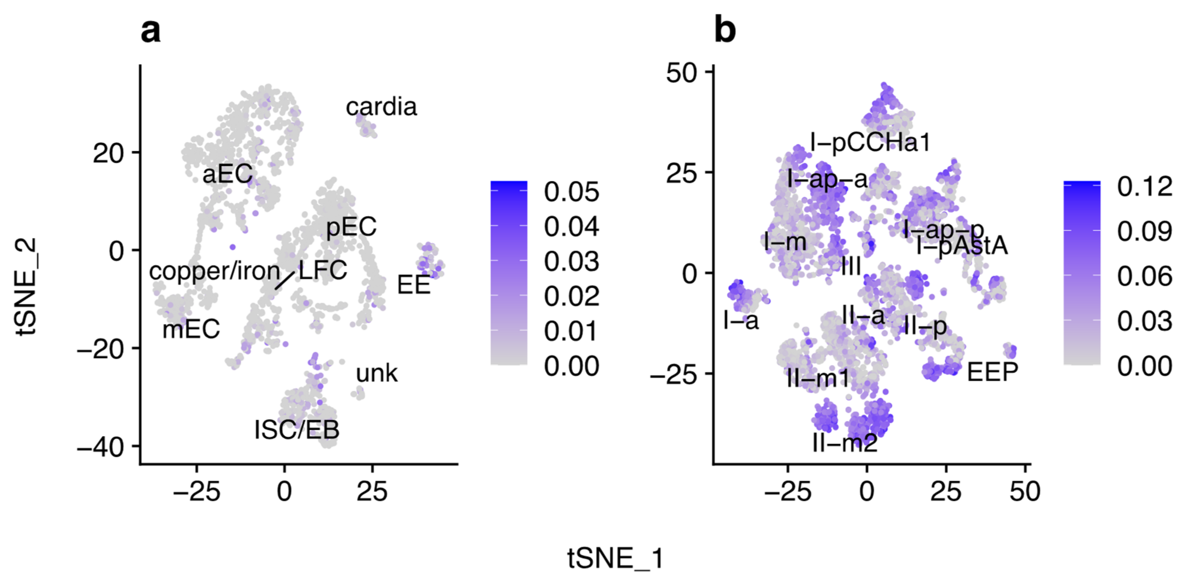 Viruses 13 02284 g005
