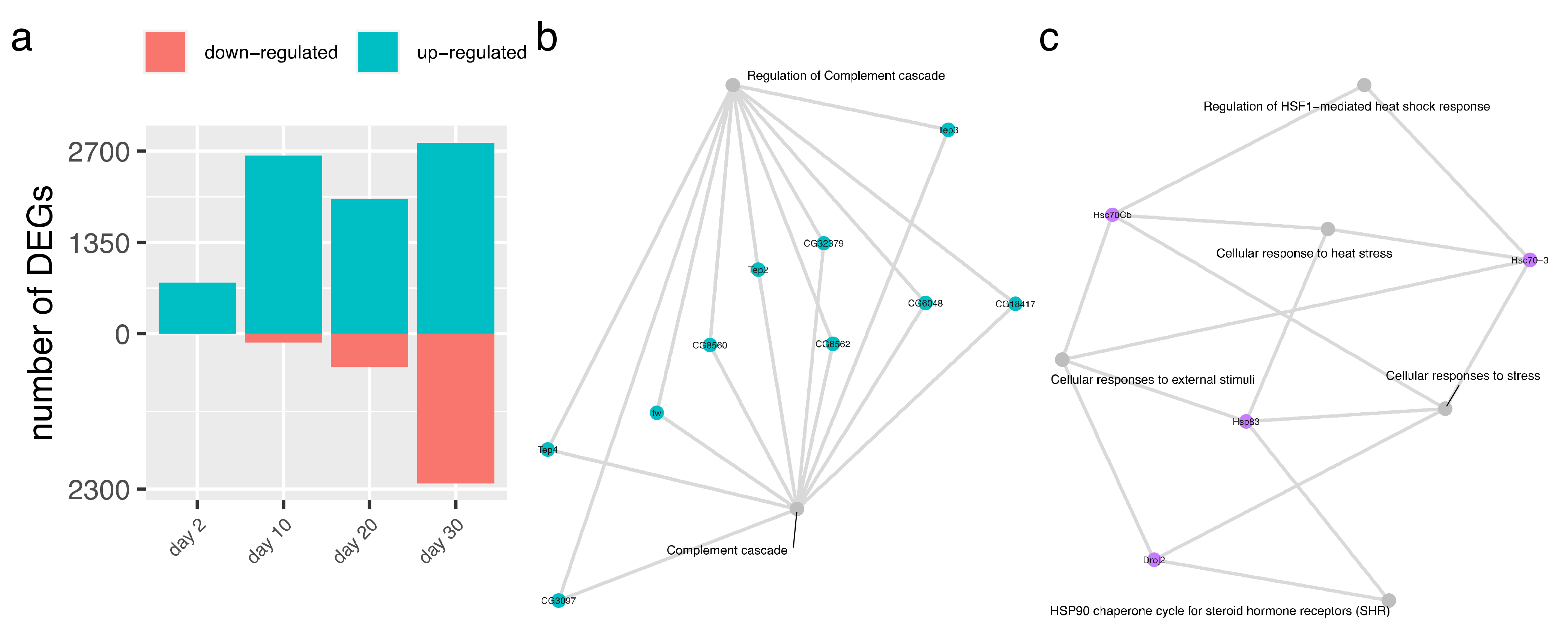 Viruses 13 02284 g006