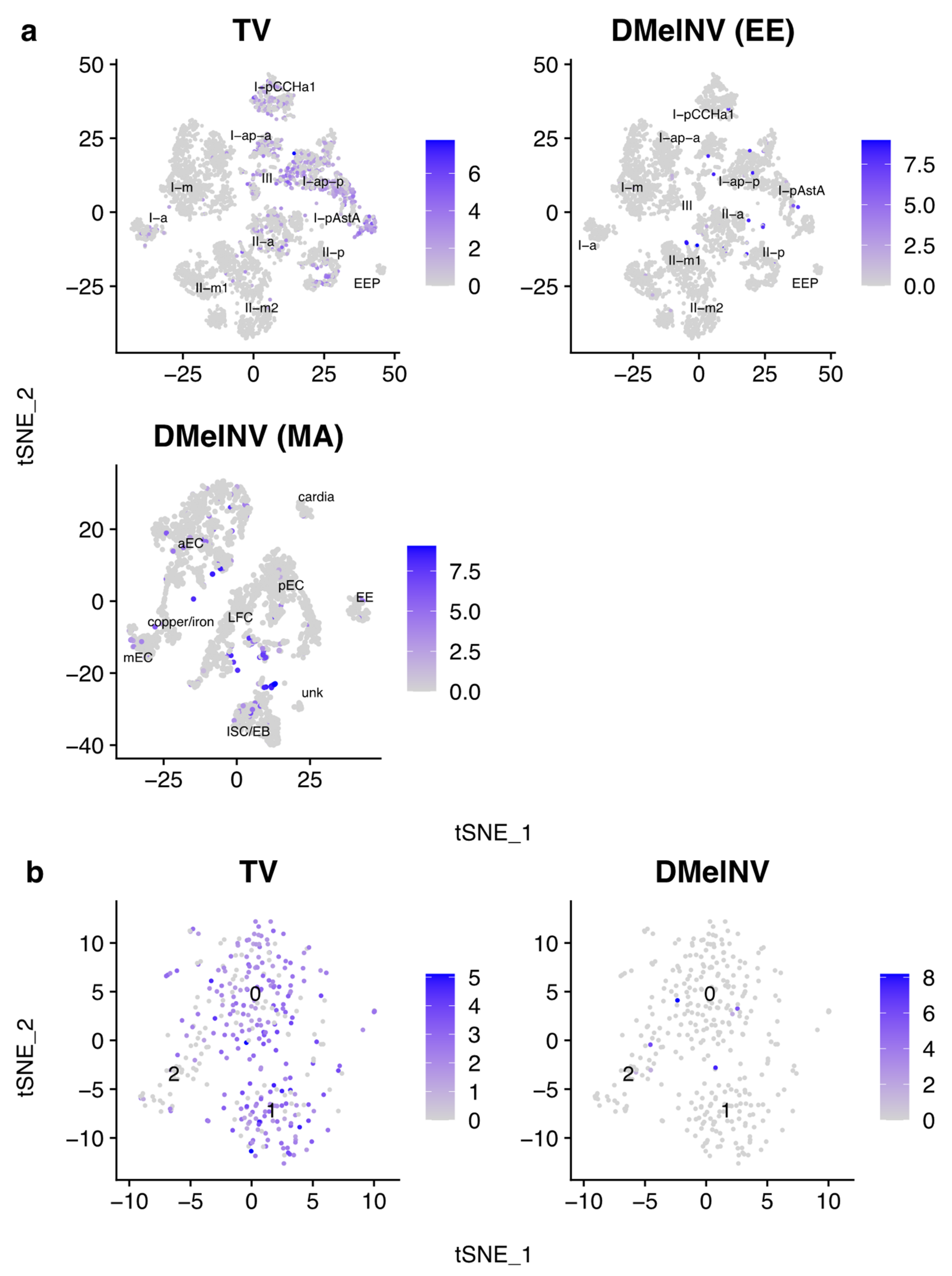 Viruses 13 02284 g008