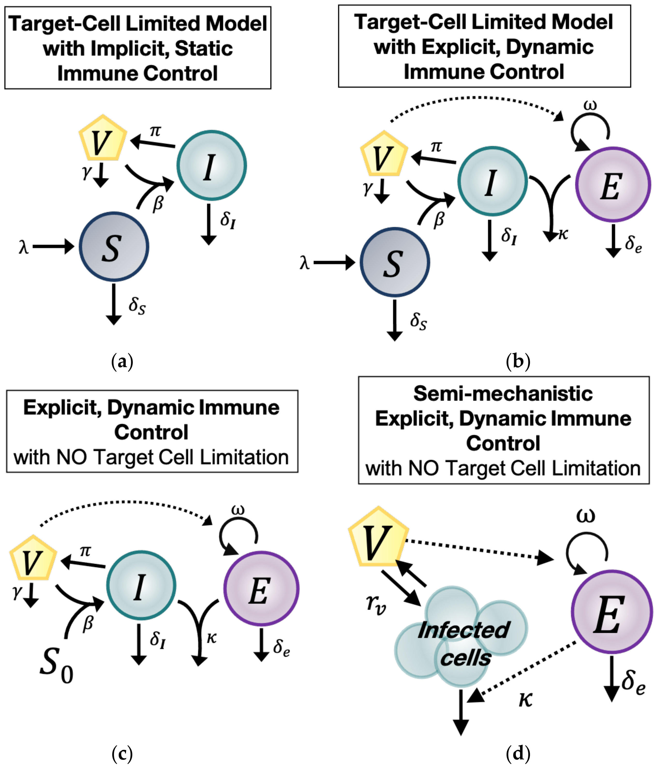 Viruses 13 02292 g001
