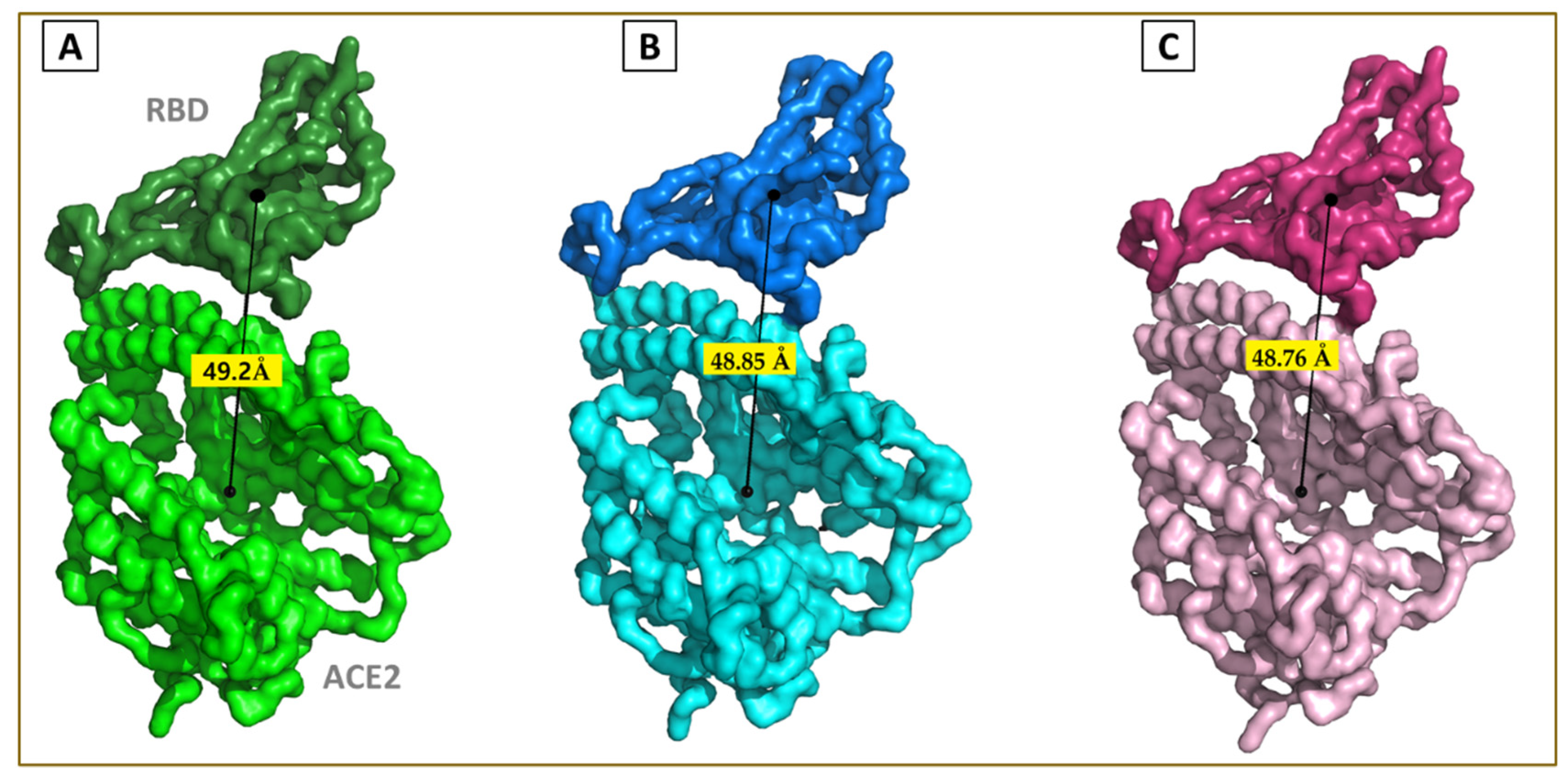 Viruses 13 02295 g005