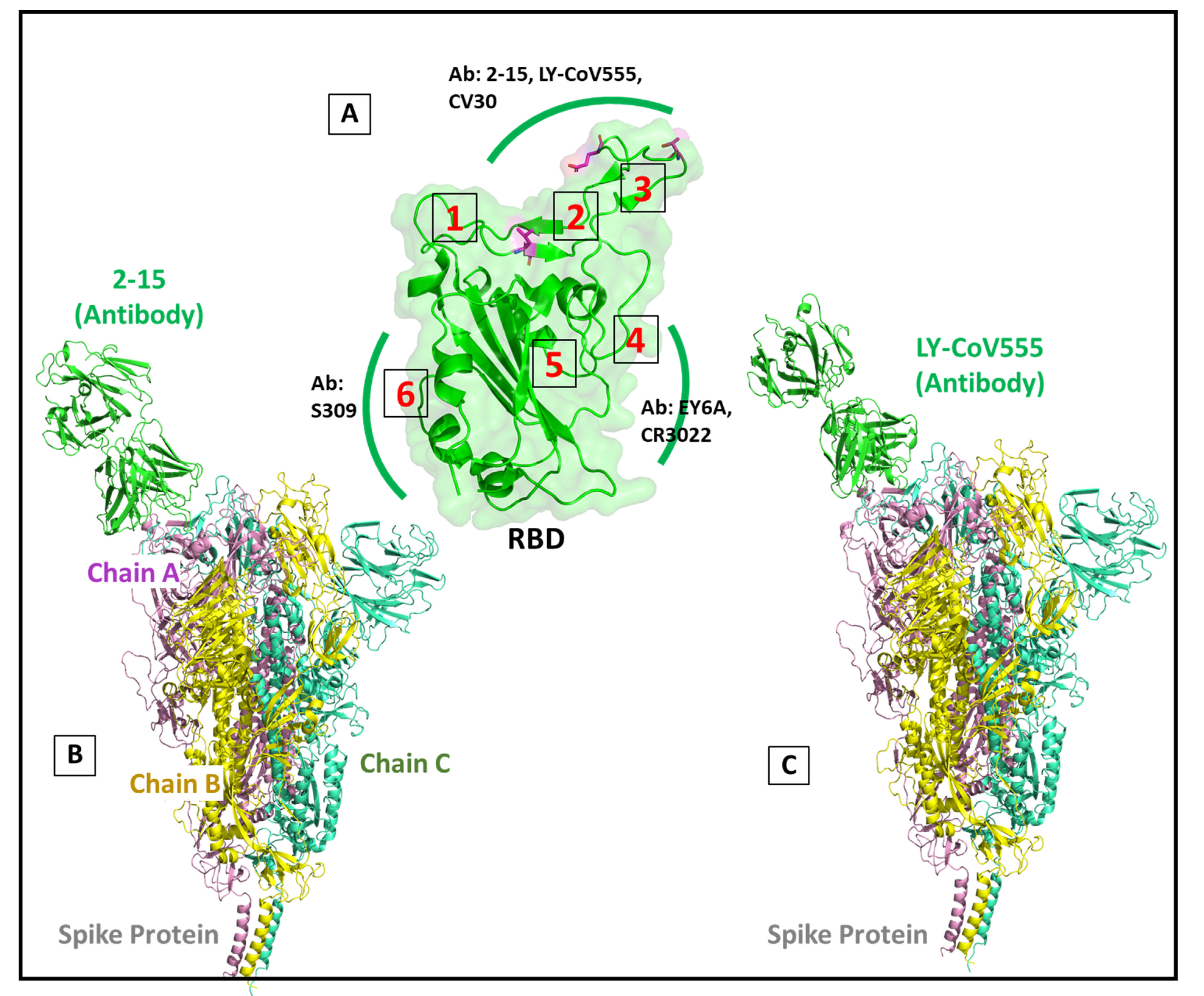Viruses 13 02295 g011