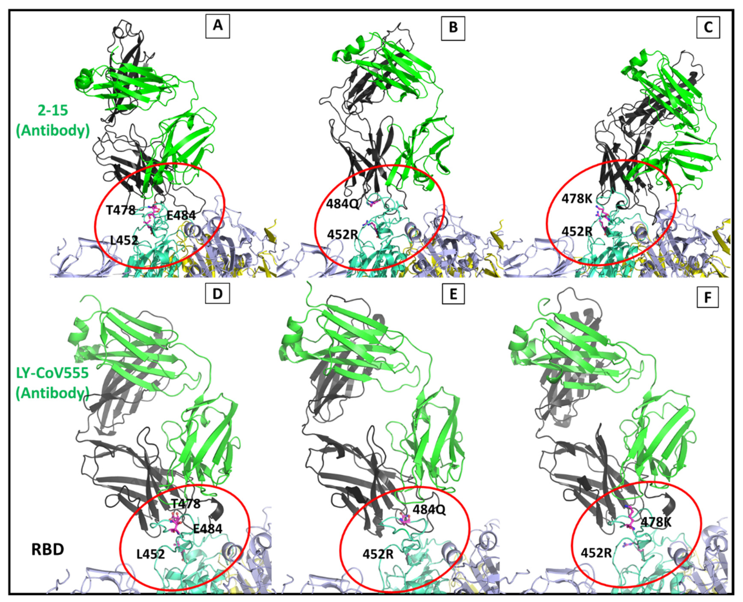 Viruses 13 02295 g012