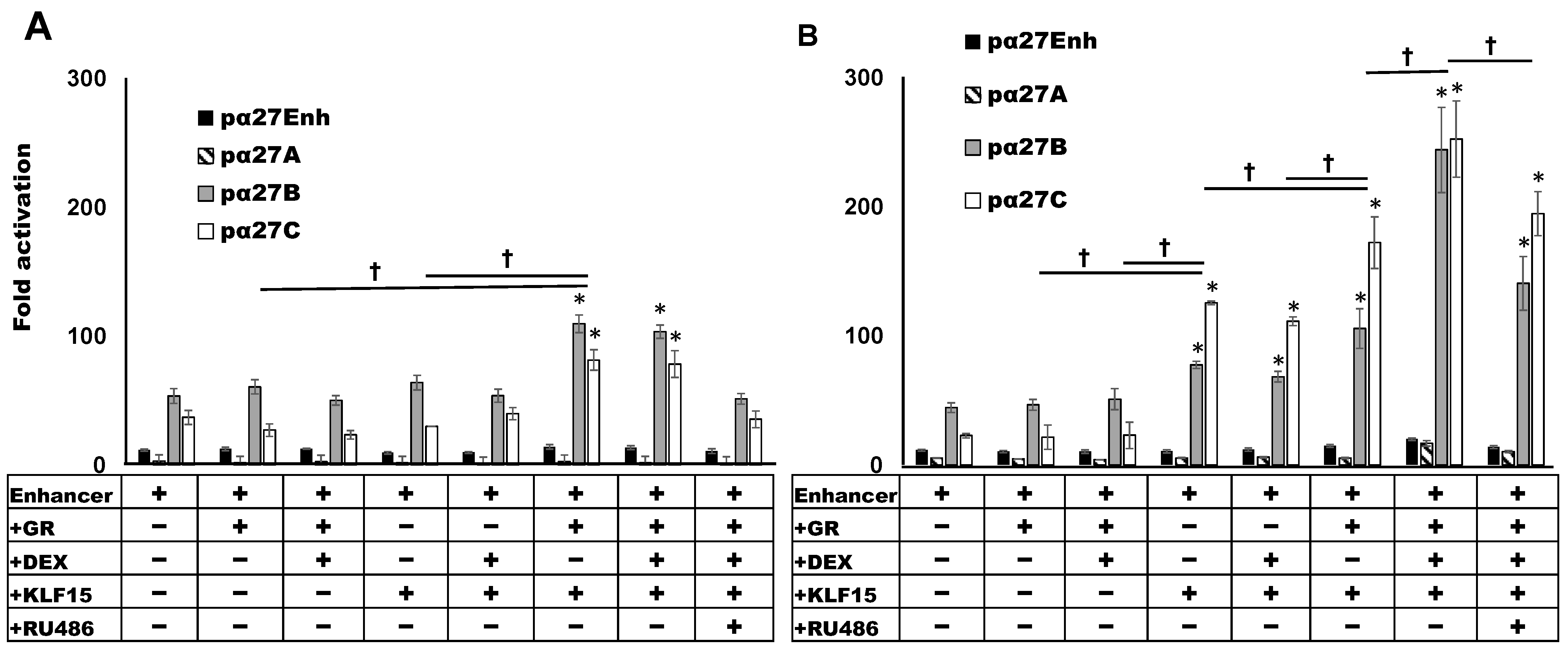 Viruses 13 02296 g003 Viruses 13 02296 g003
