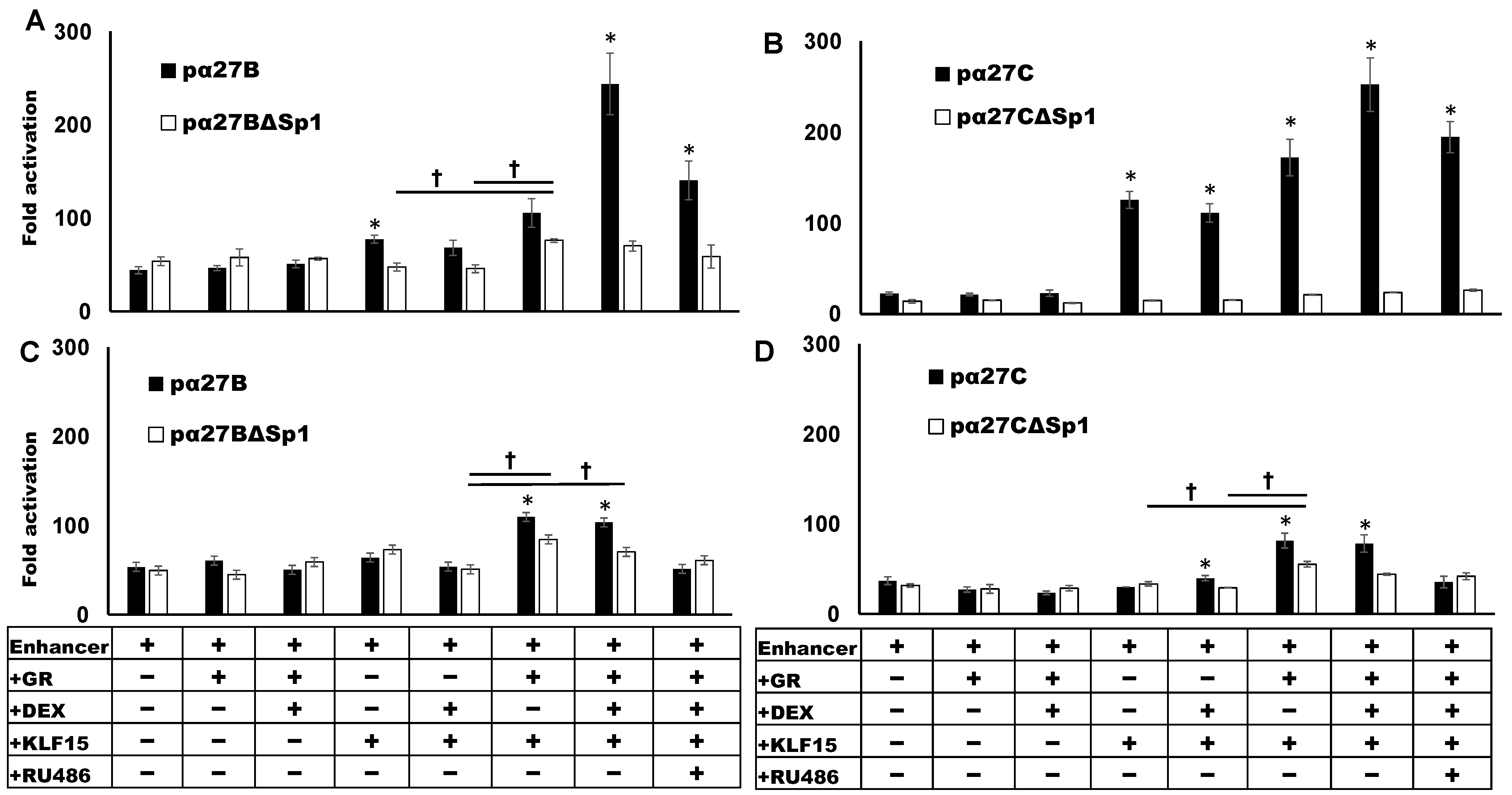 Viruses 13 02296 g005 Viruses 13 02296 g005