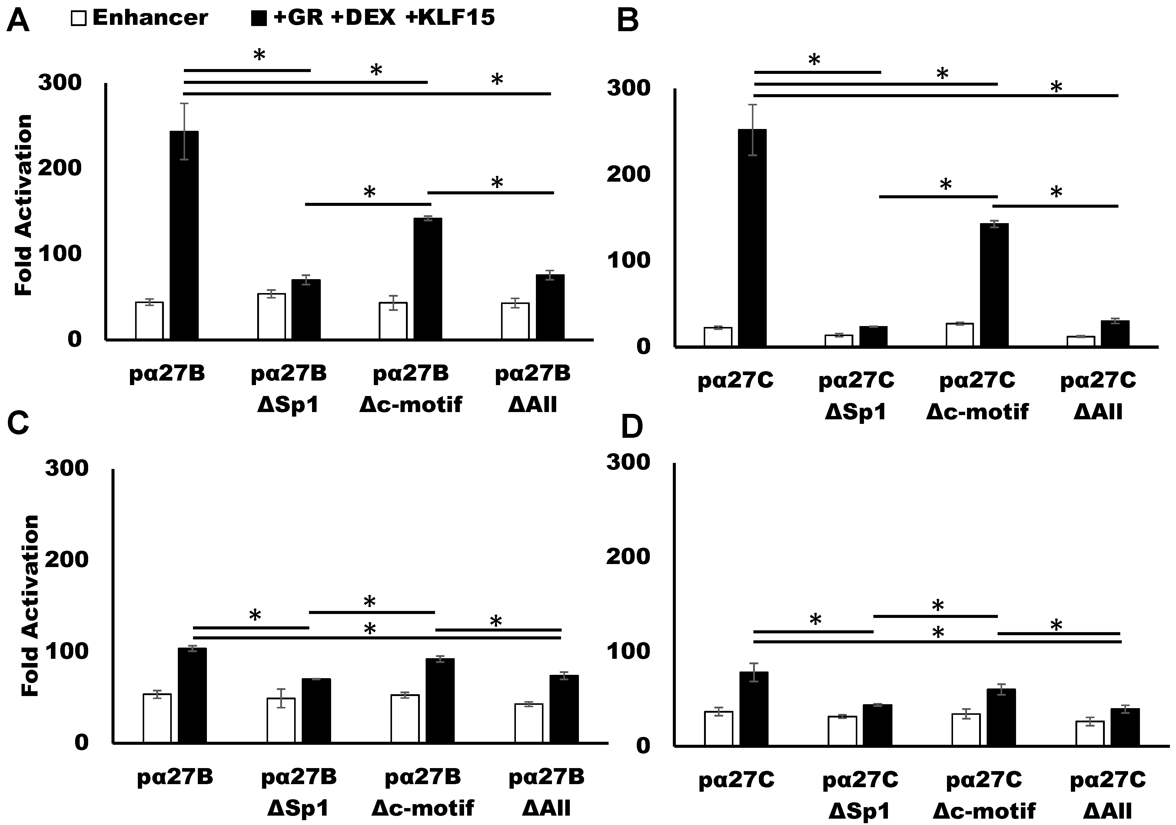 Viruses 13 02296 g006 Viruses 13 02296 g006