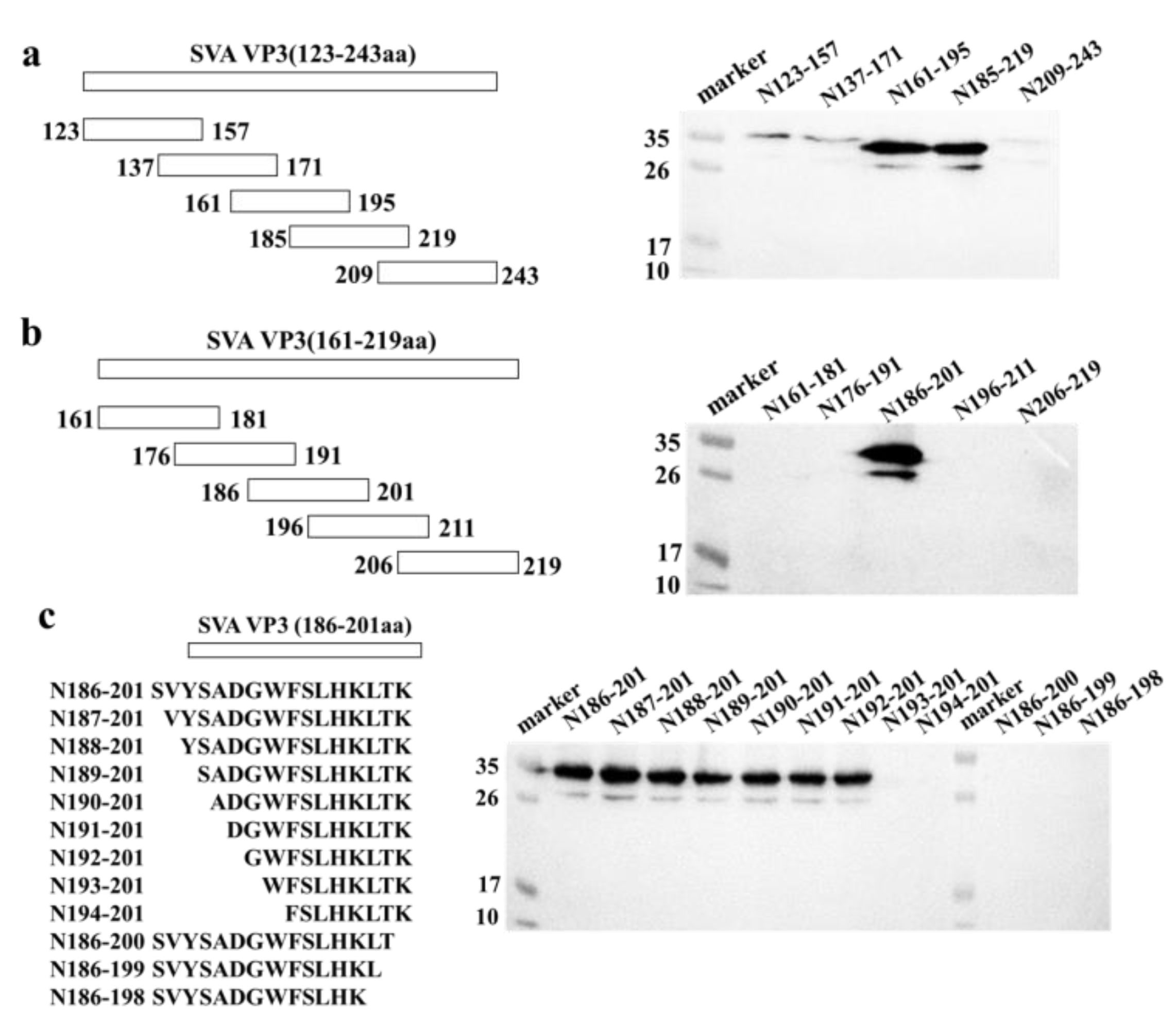 Viruses 13 02300 g003