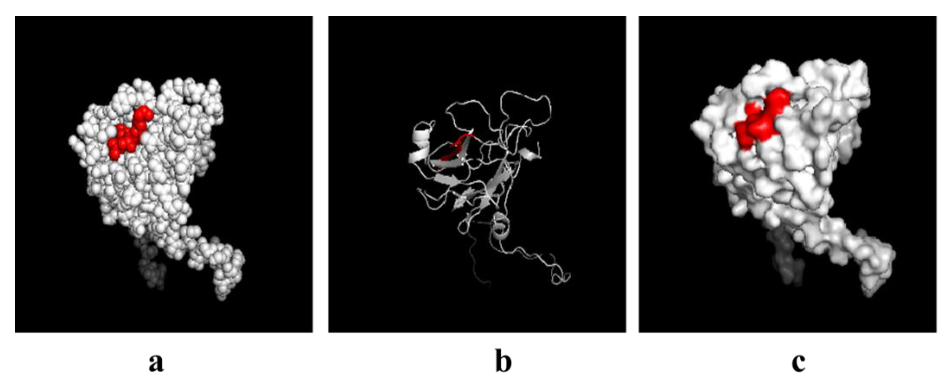 Viruses 13 02300 g007